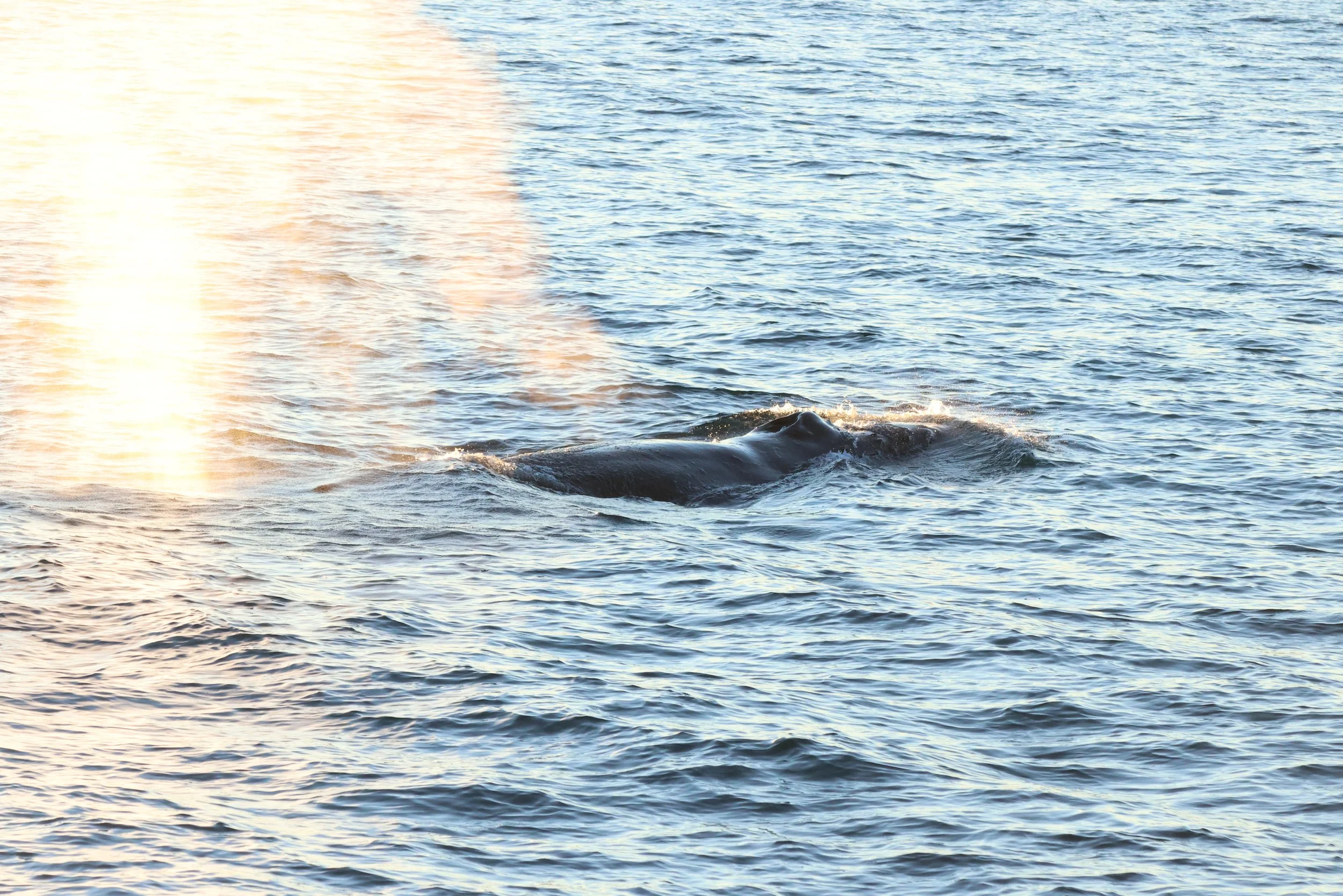 2025_11_24_1100_KON_GISELA (44).JPG