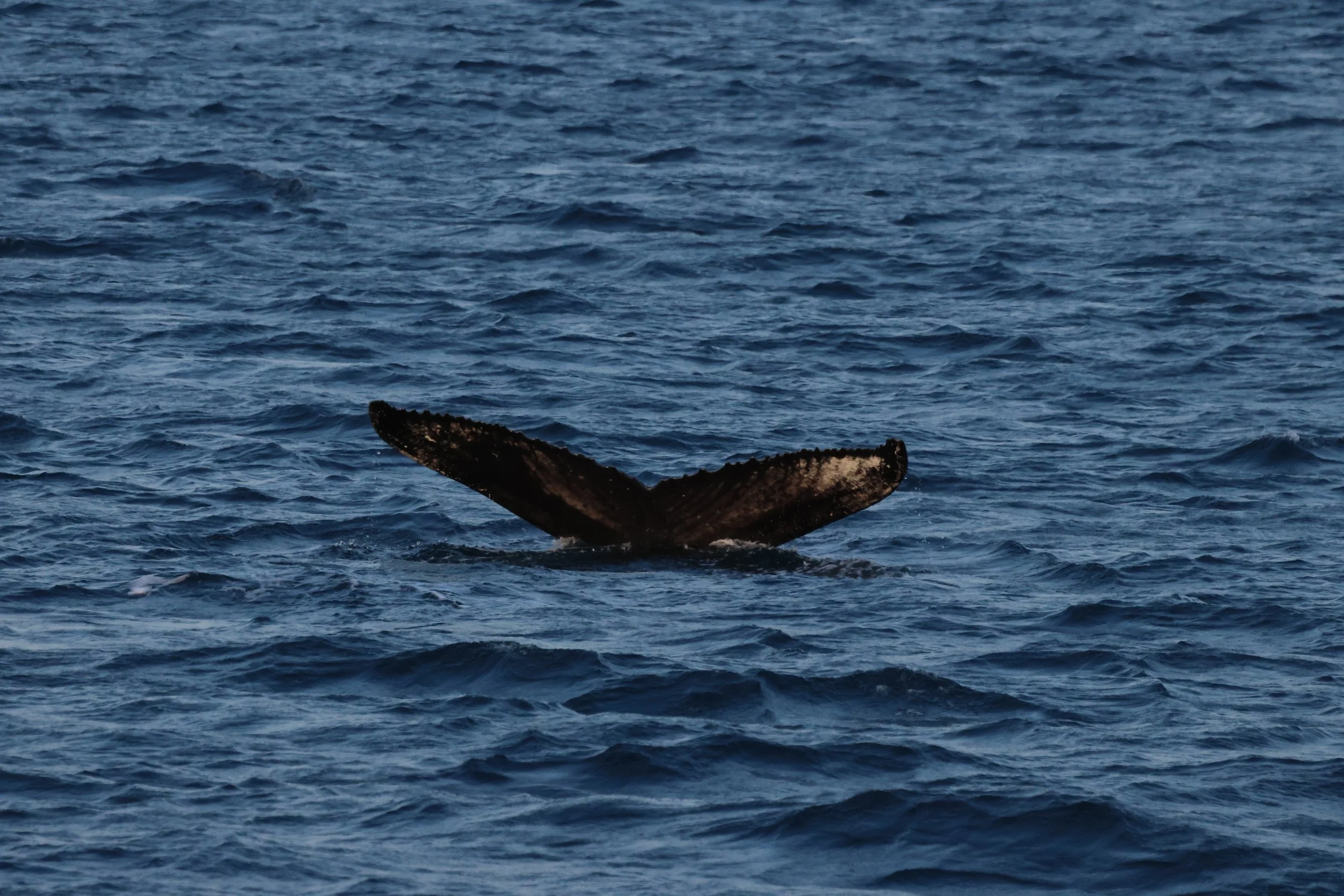 2025_11_29_11_KON_GISELA (45).JPG