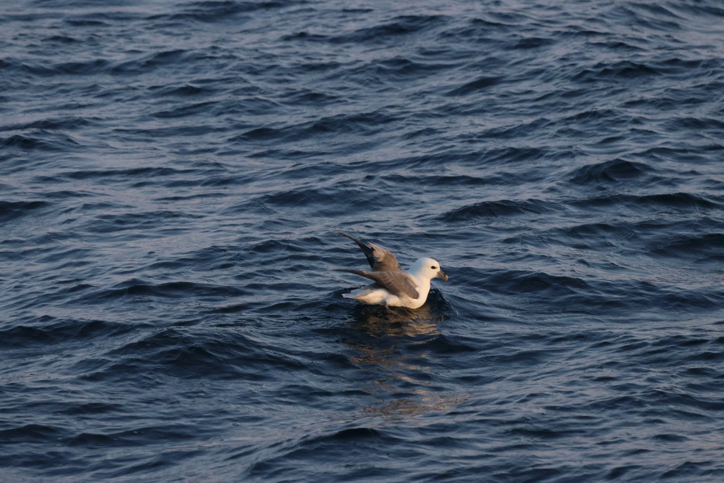 2025_11_29_11_KON_GISELA (37).JPG