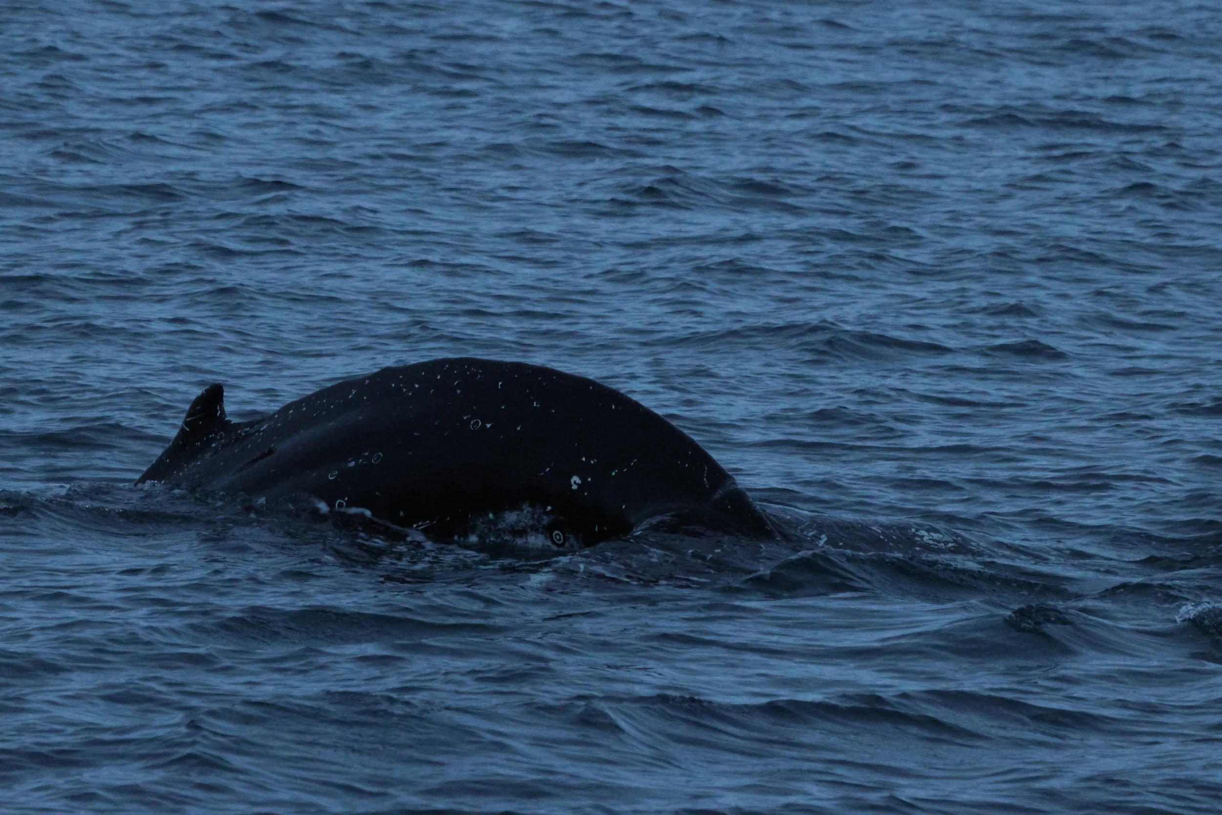 2025_12_02_1100_KON_GISELA (8).JPG