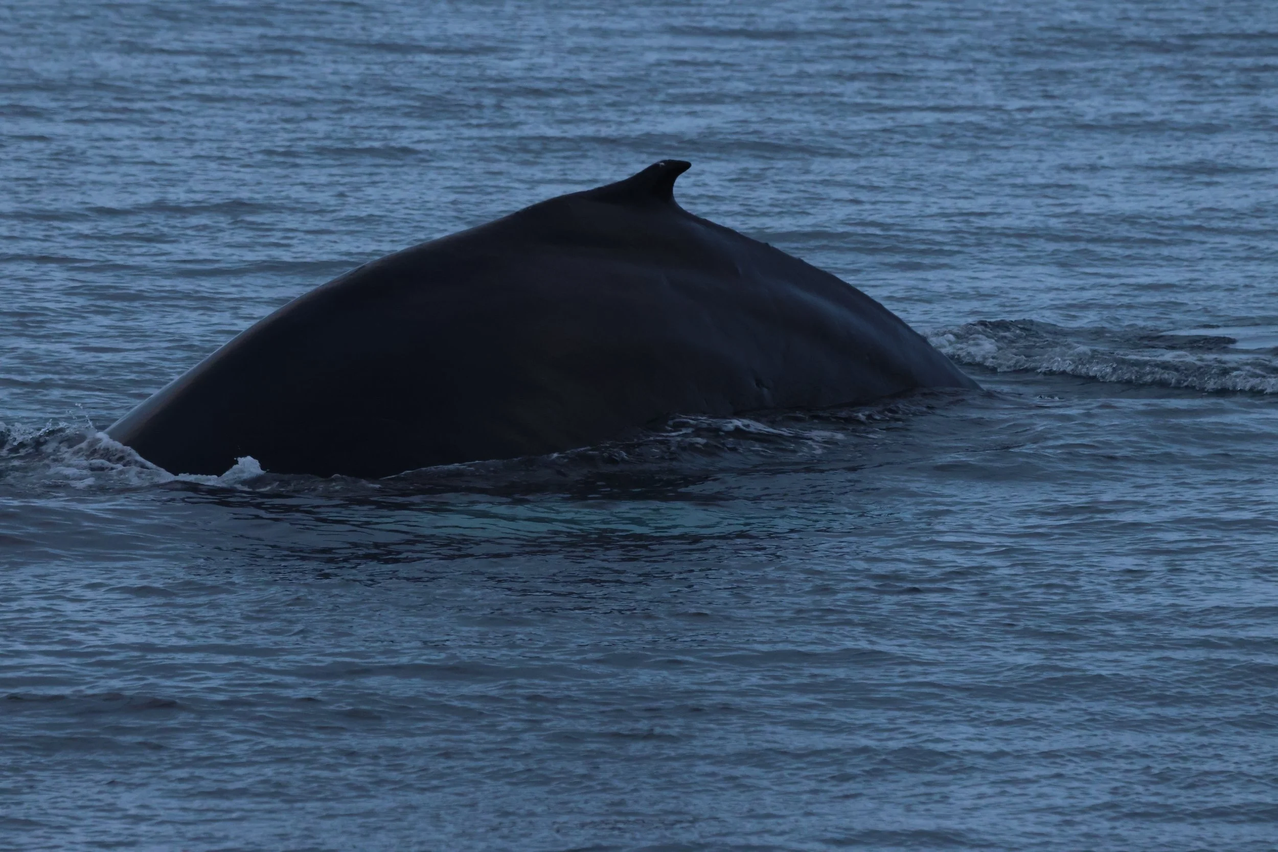 2025_12_04_1100_KON_GISELA (29).JPG