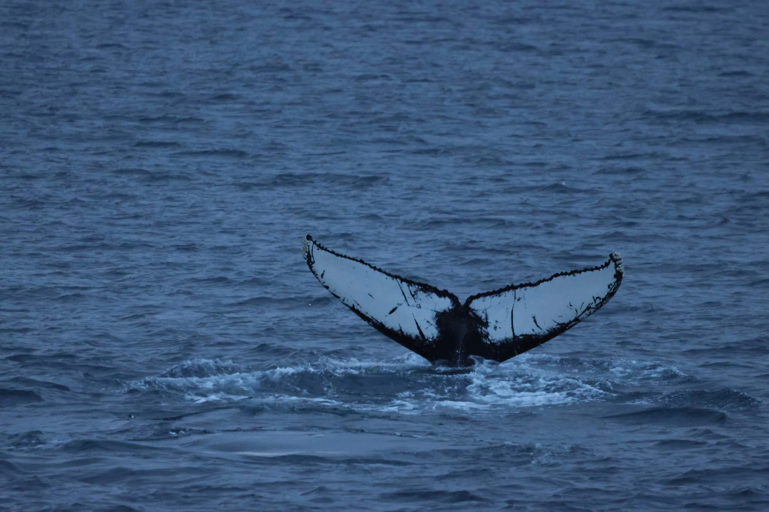 2025_12_07_1100_KON_JACOB (24).JPG