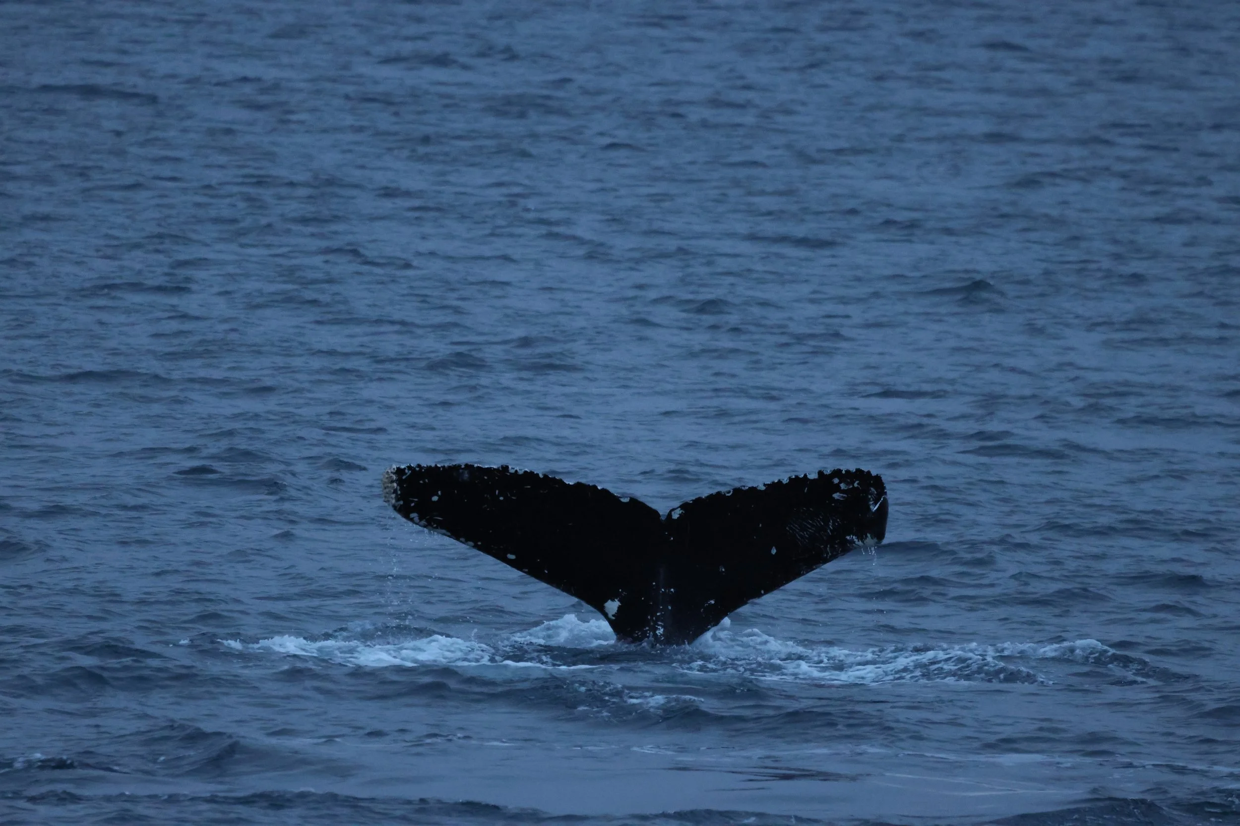 2025_12_07_1100_KON_JACOB (22).JPG