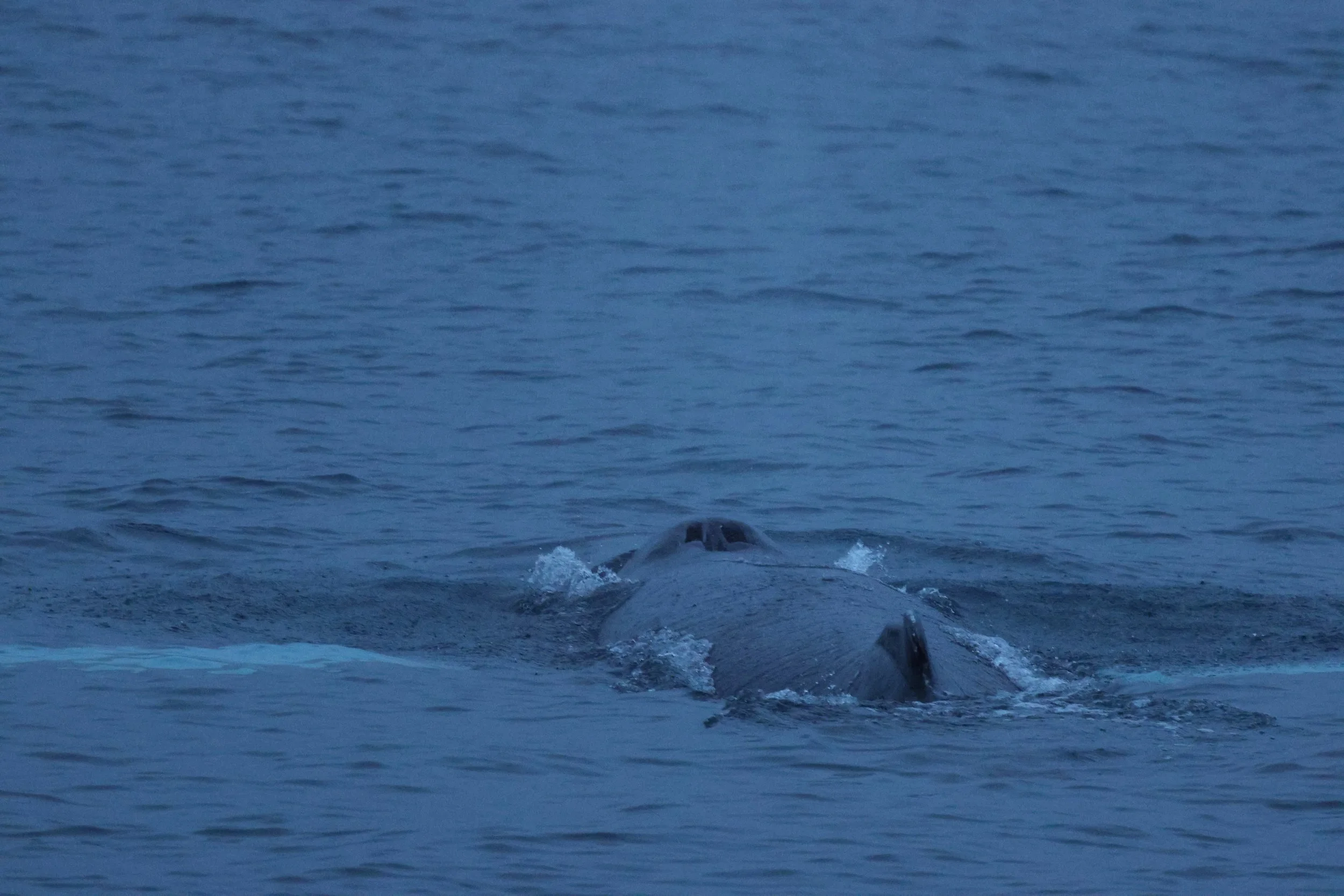 Sunday, 14 December 2025