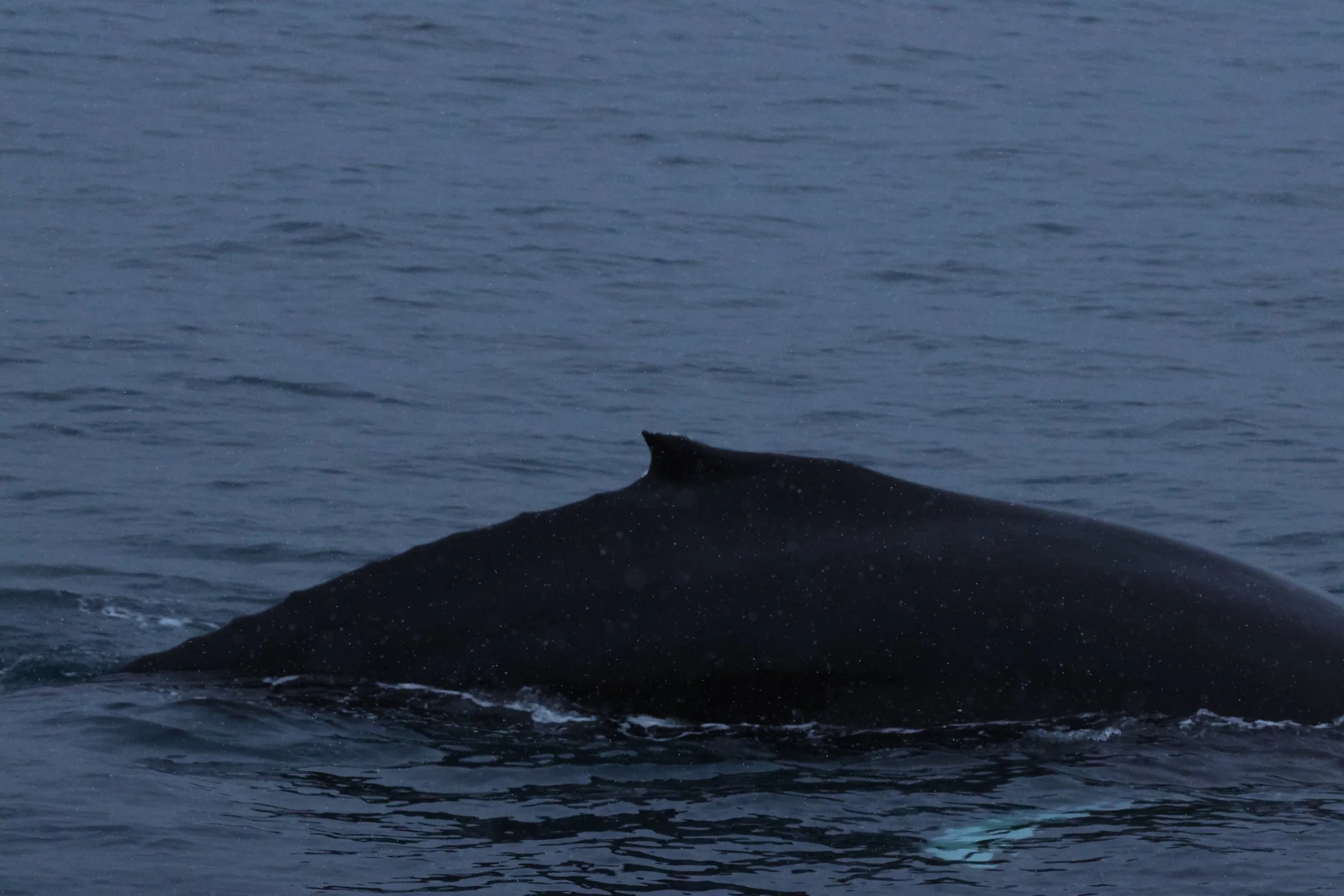 2025_12_15_11_KON_GISELA (54).JPG