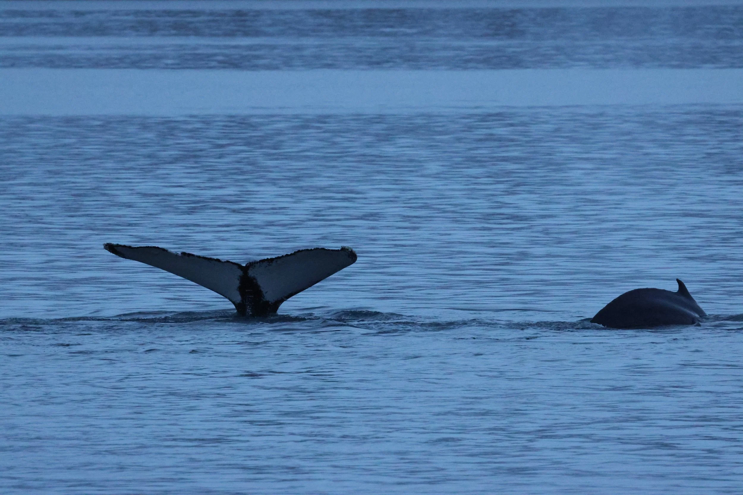 2025_12_18_1100_KON_GISELA (82).JPG