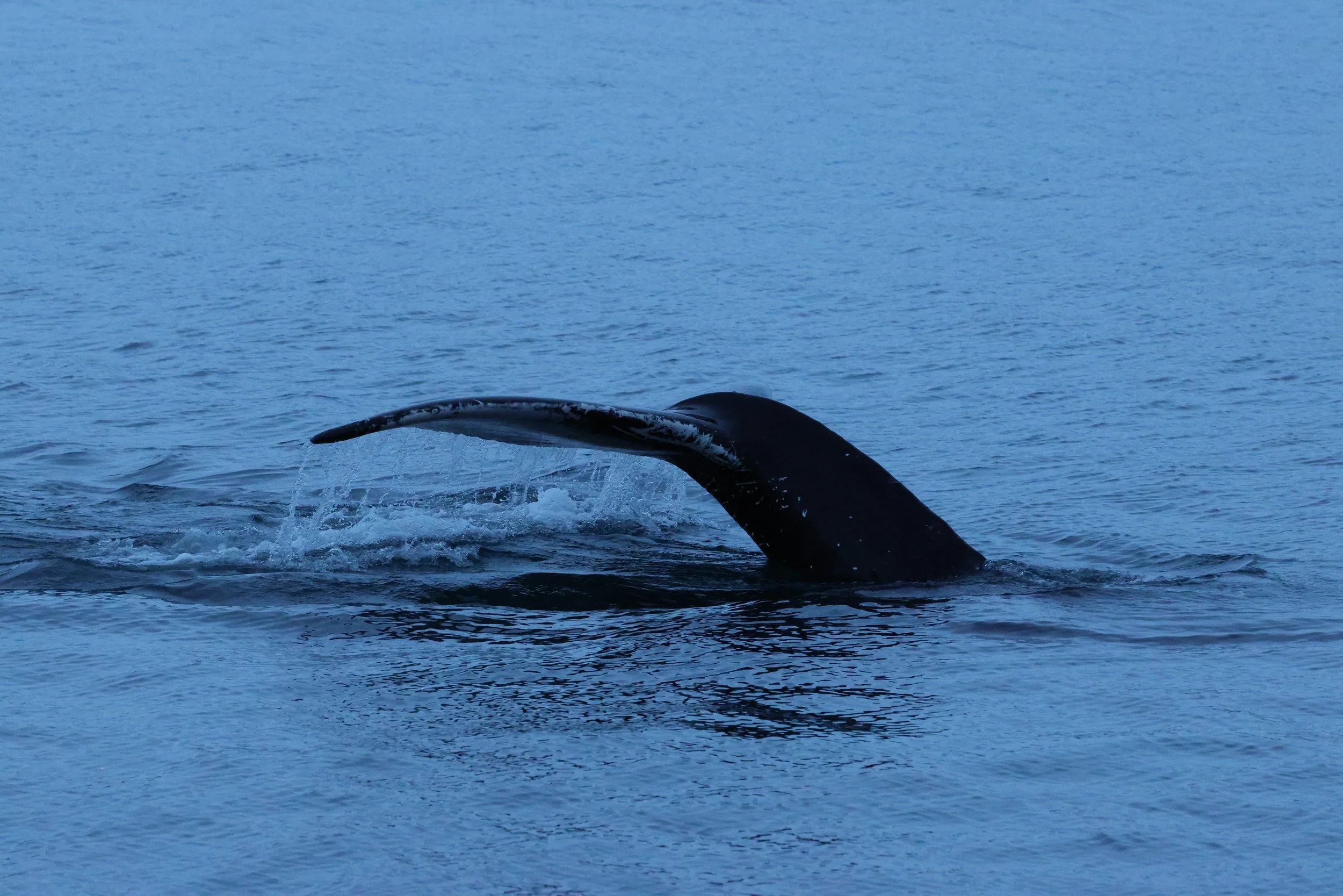 2025_12_20_1100_KON_GISELA (49).JPG