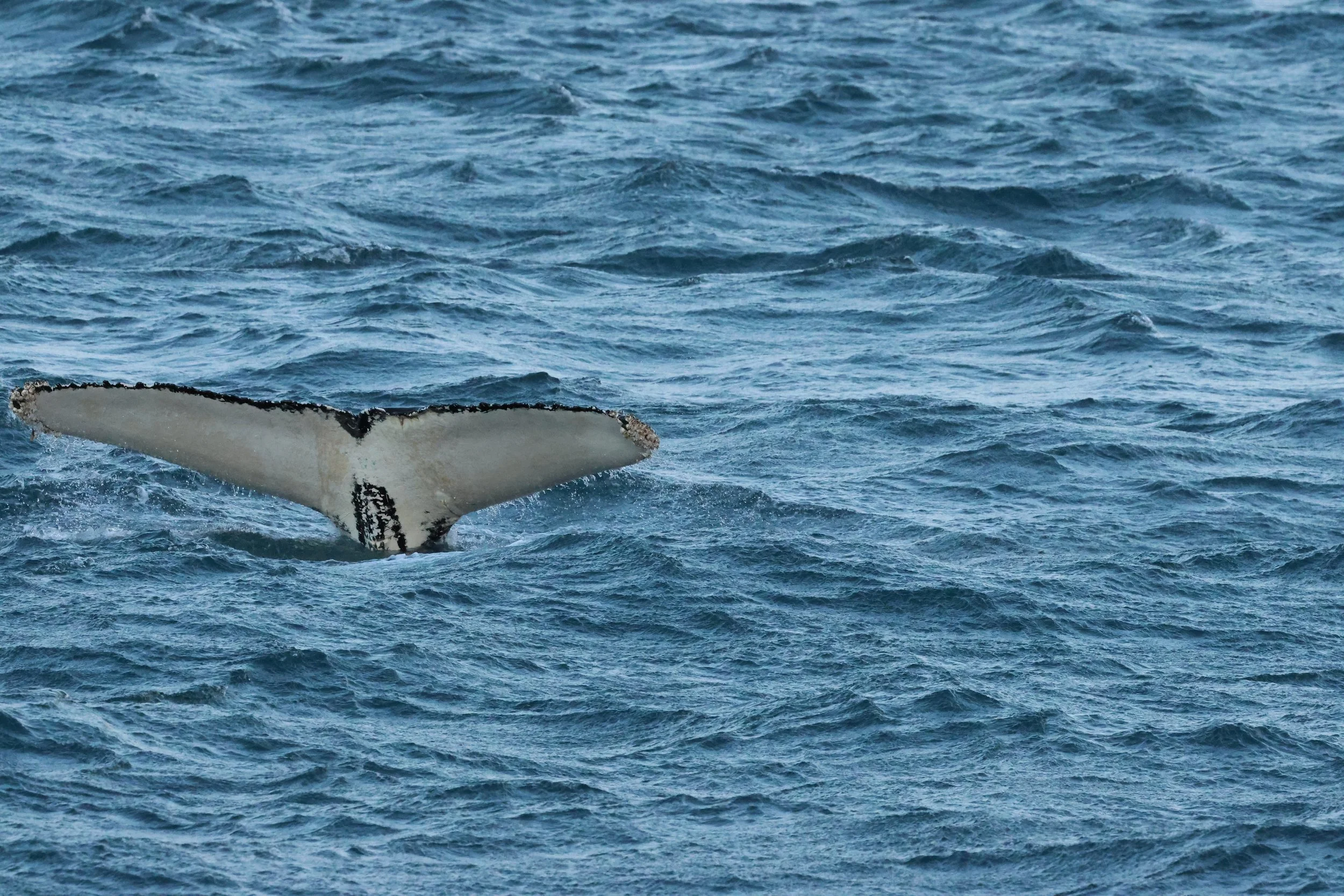 Wednesday, 24 December 2025