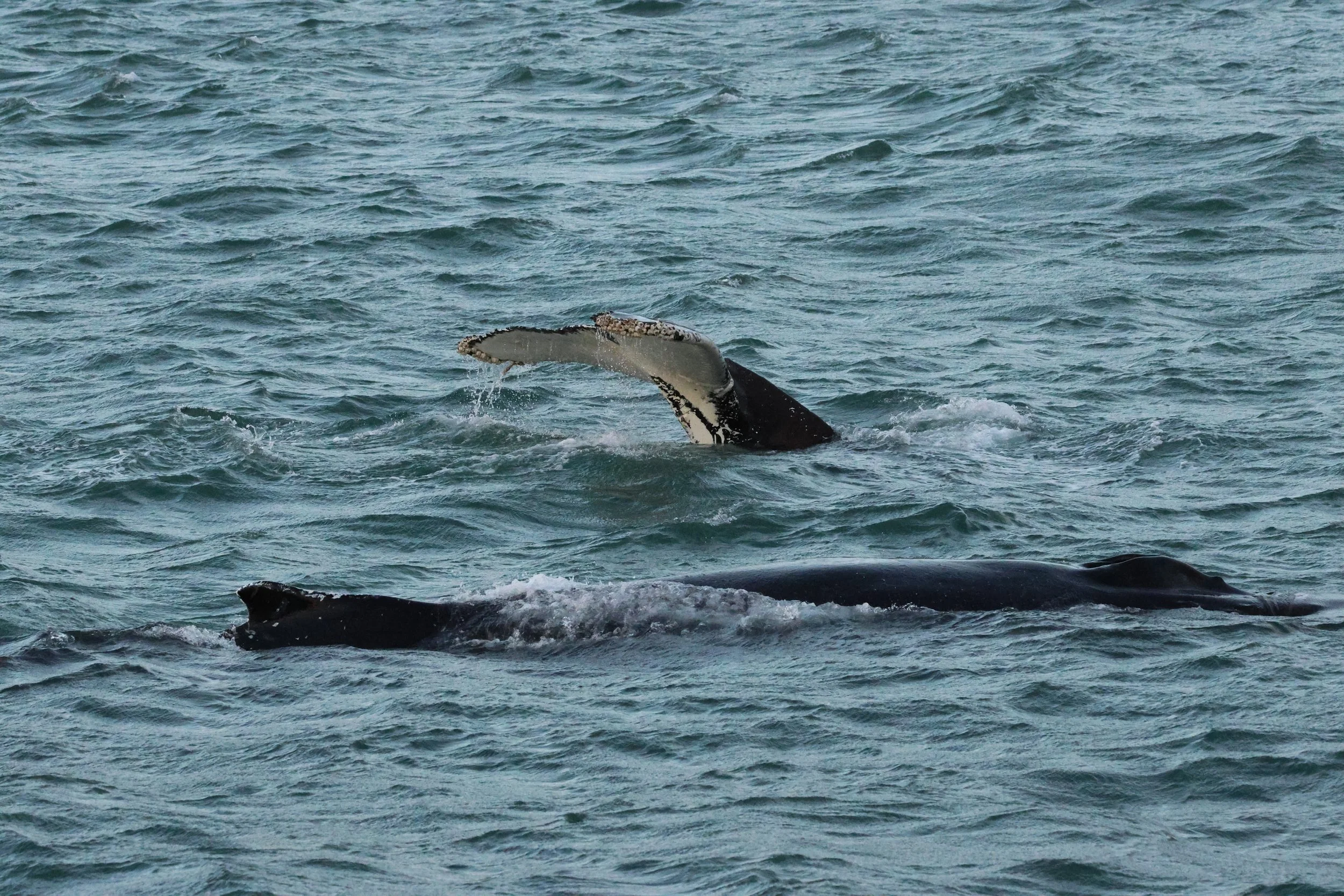 Thursday, 25 December 2025