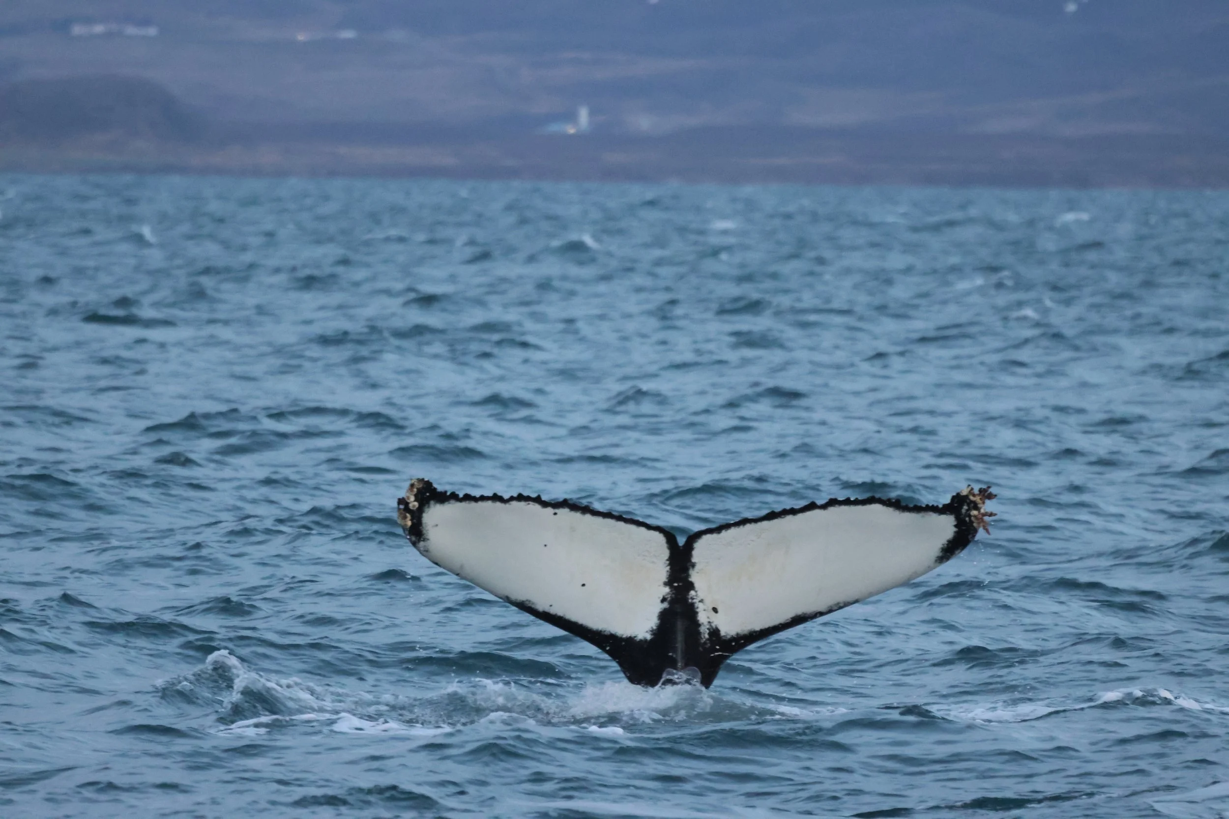 Friday, 26 December 2025