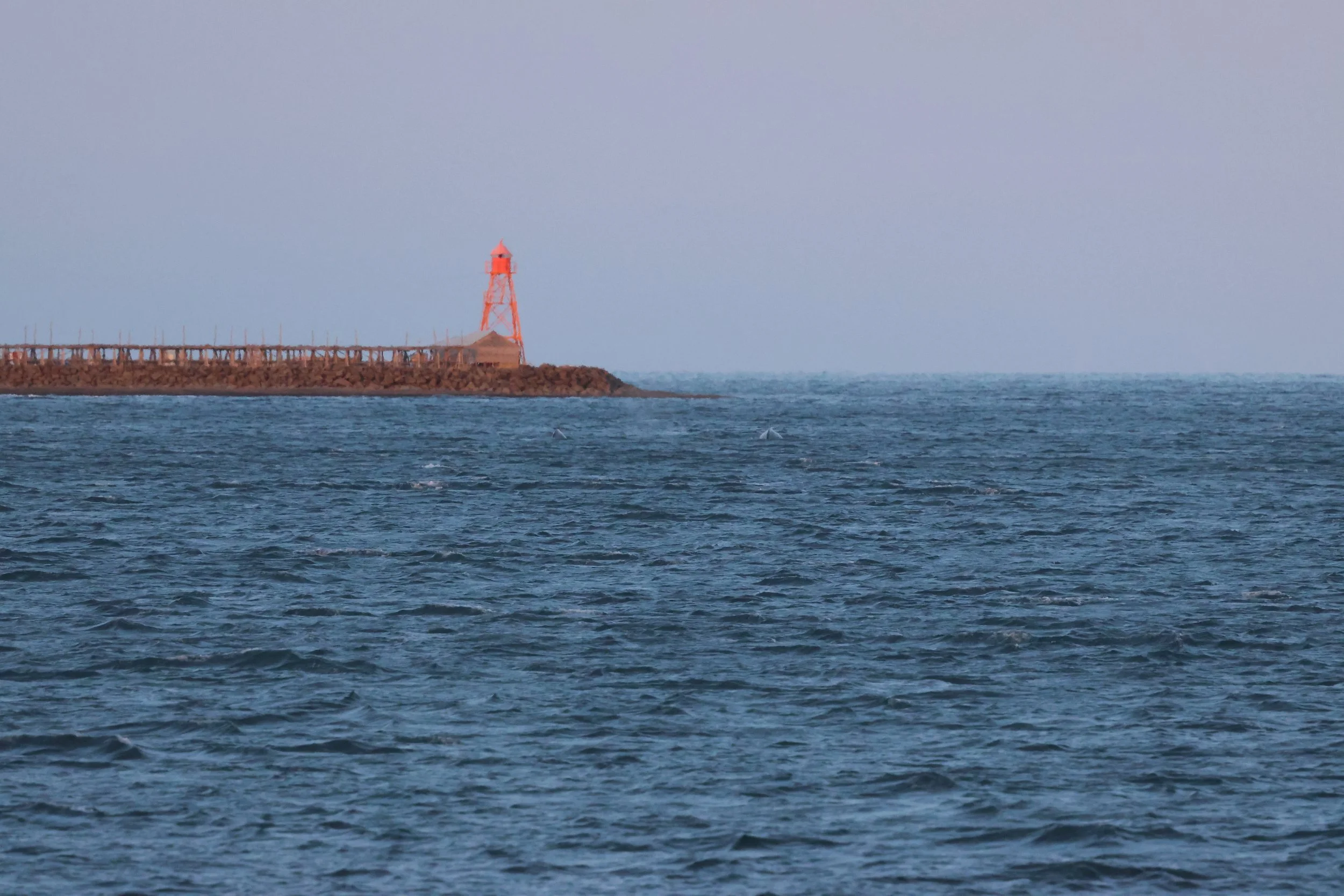 2025_12_27_1100_KON_GISELA (44).JPG