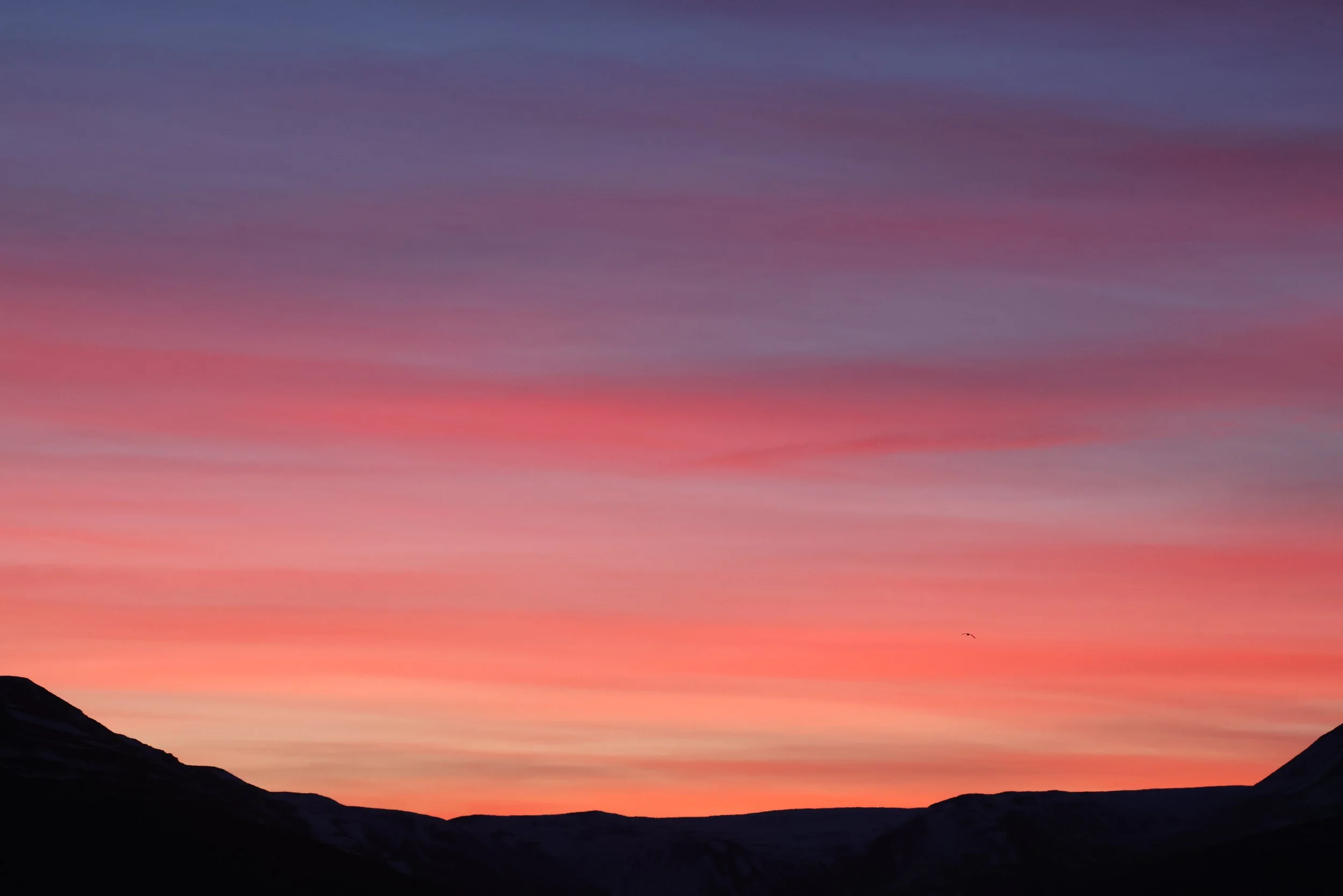 2025_12_27_1100_KON_GISELA (1).JPG