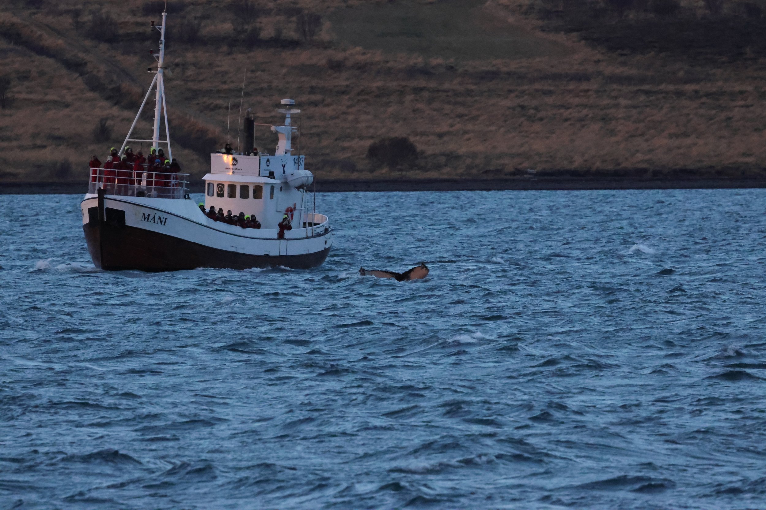 2025_12_27_1100_KON_GISELA (11).JPG