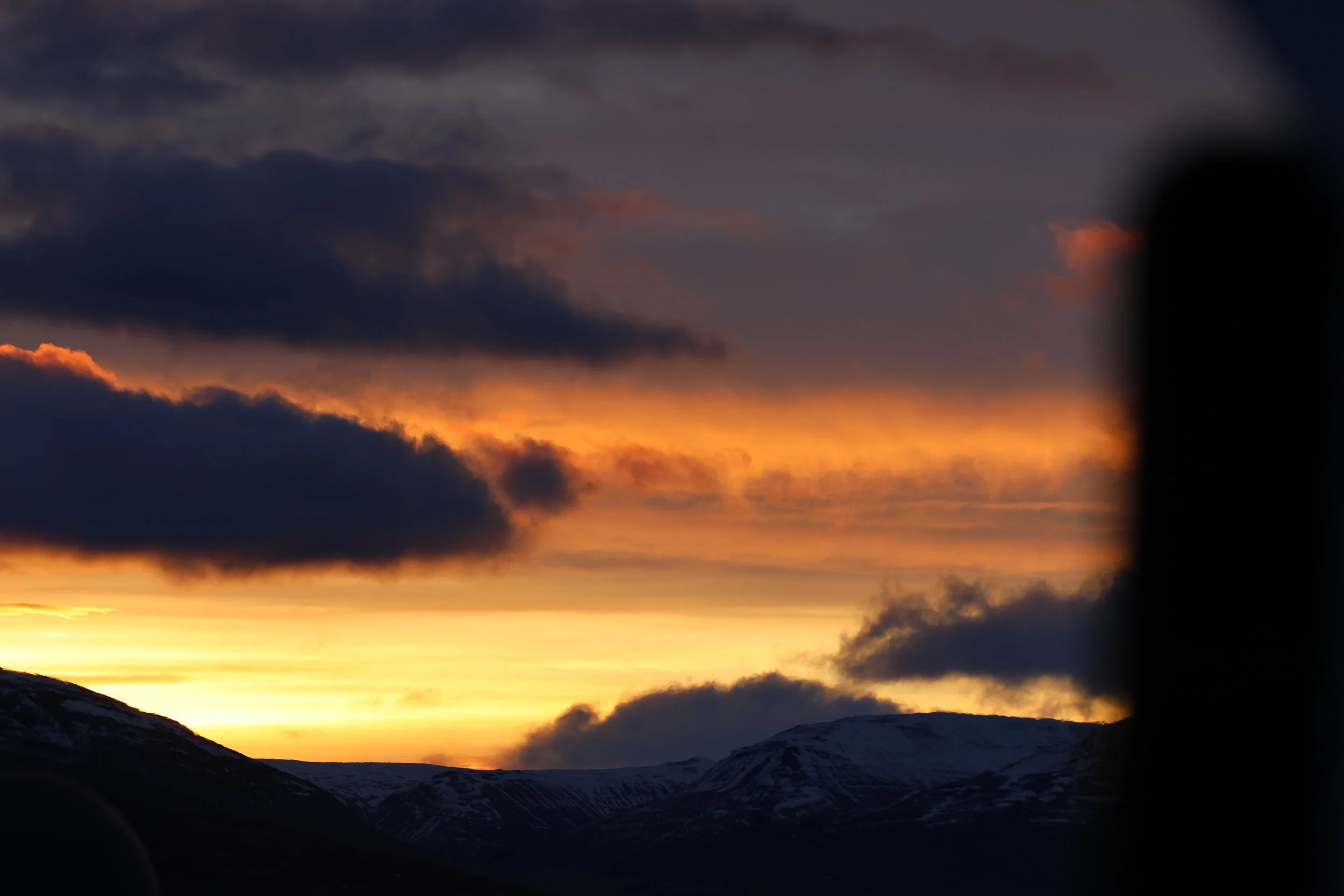 2025_12_28_1100_HOL_GISELA (92).JPG