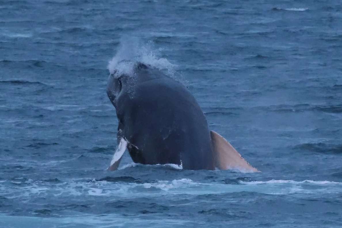 Sunday, 28 December 2025