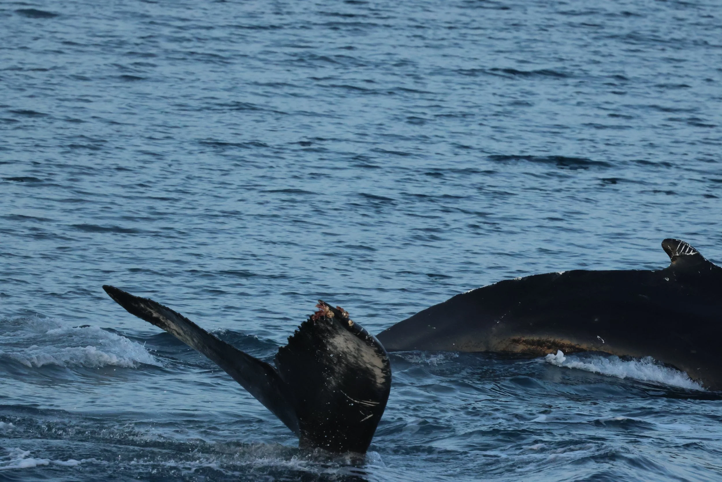 Monday, 29 December 2025