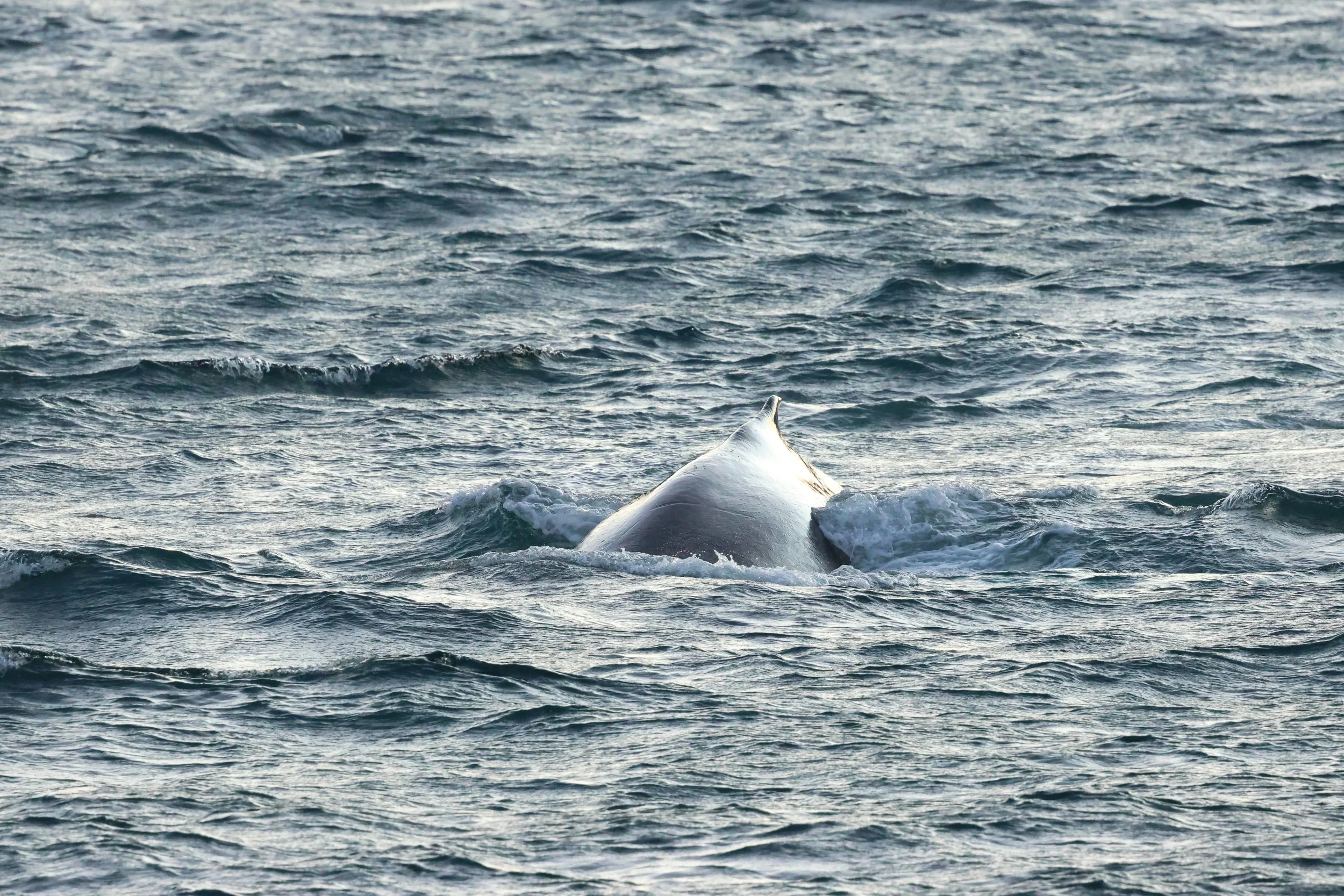 2025_12_30_1100_KON_GISELA (33).JPG