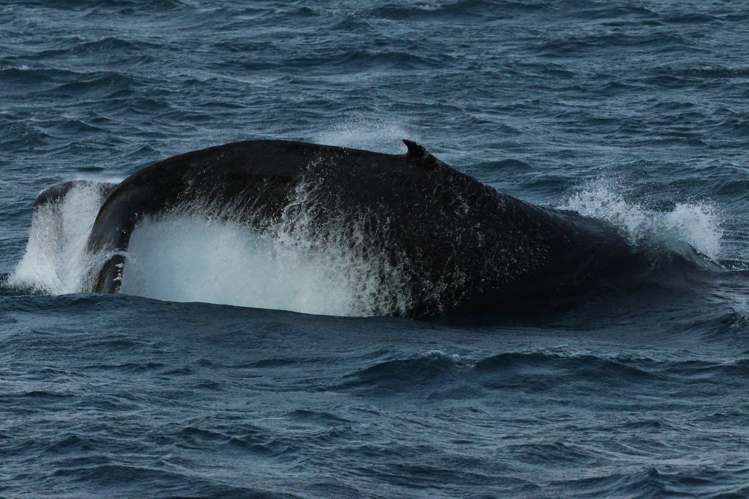 2025_12_30_1100_KON_GISELA (94).JPG