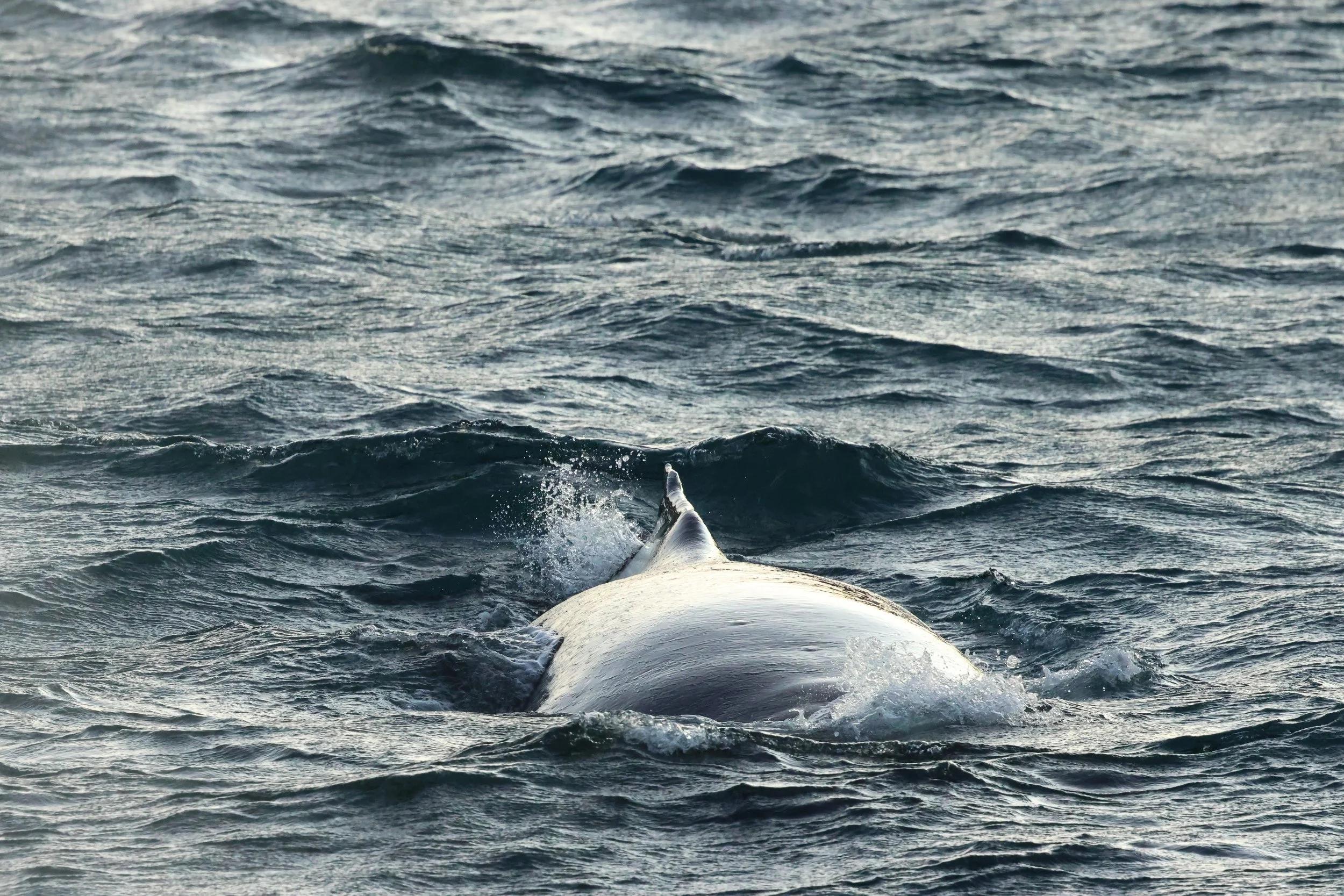 2025_12_30_1100_KON_GISELA (63).JPG