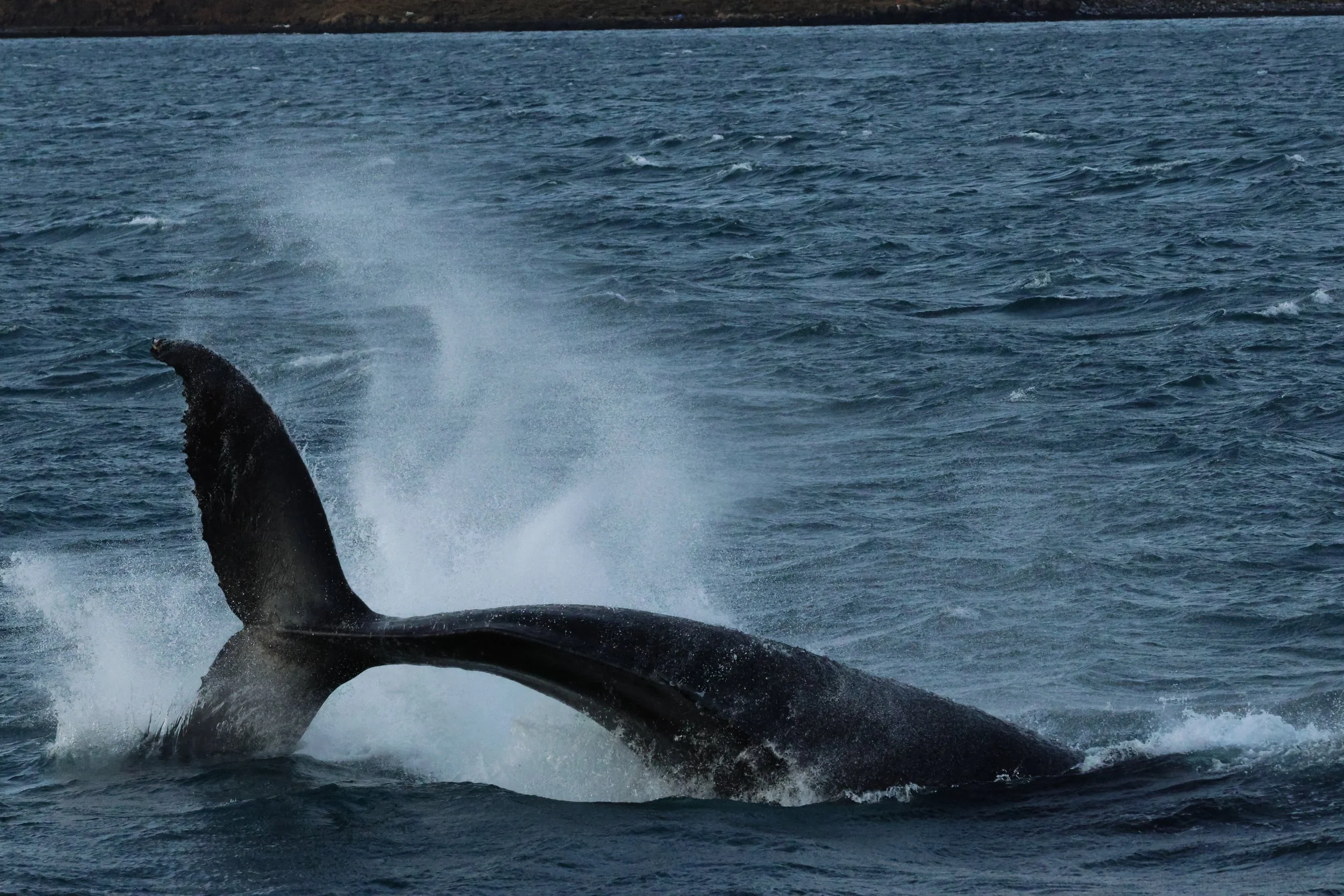 Tuesday, 30 December 2025