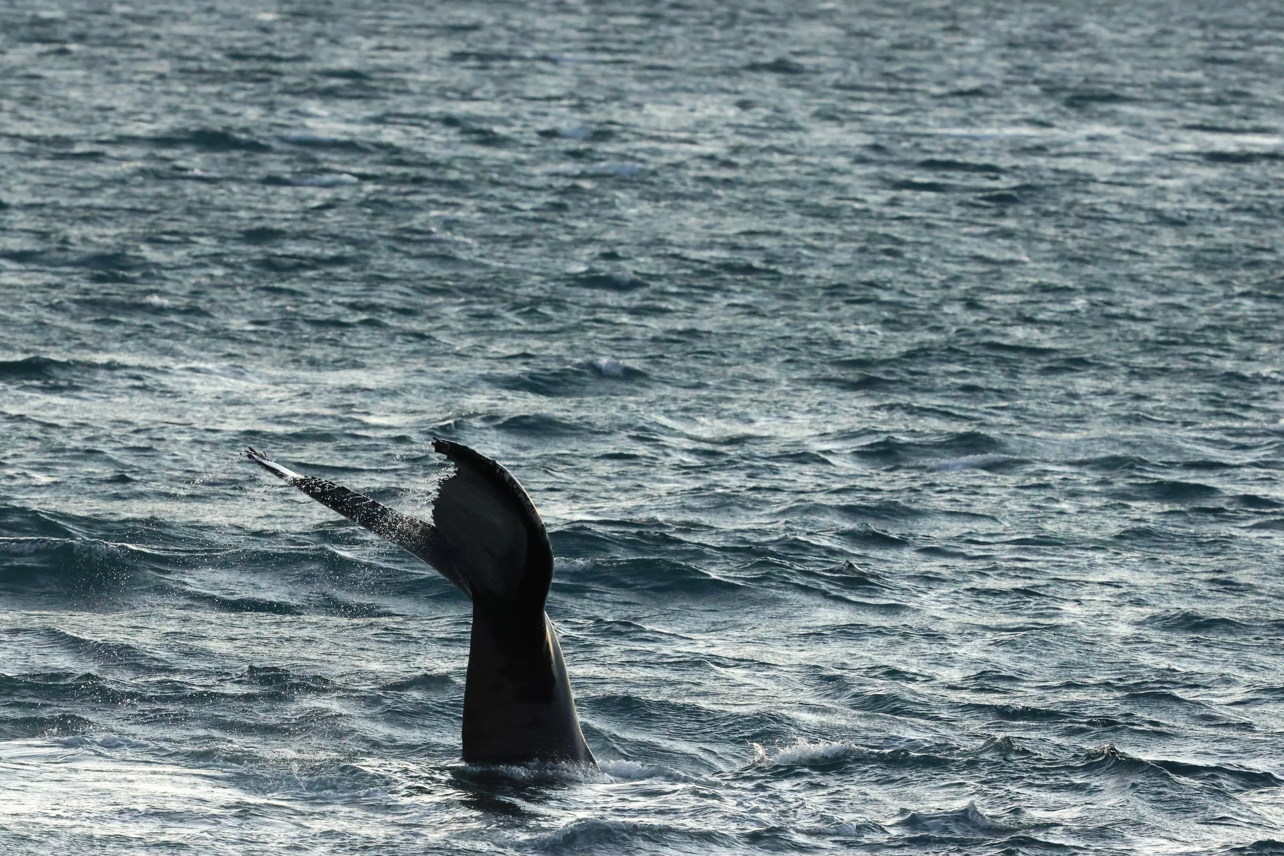 2025_12_30_1100_KON_GISELA (54).JPG