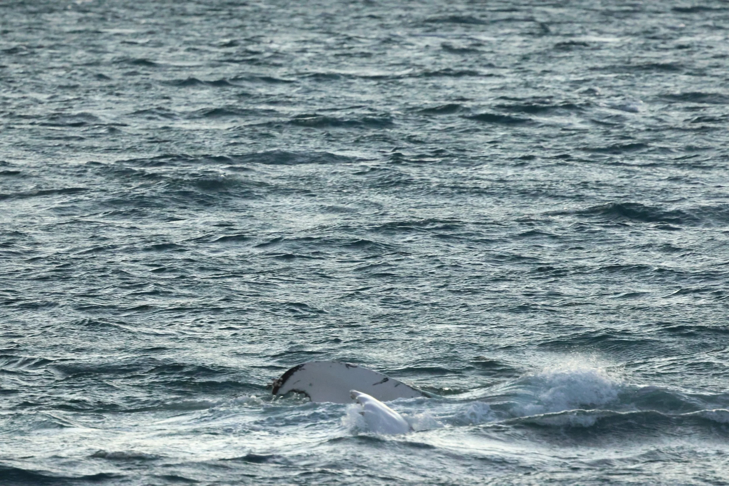 2025_12_30_1100_KON_GISELA (69).JPG