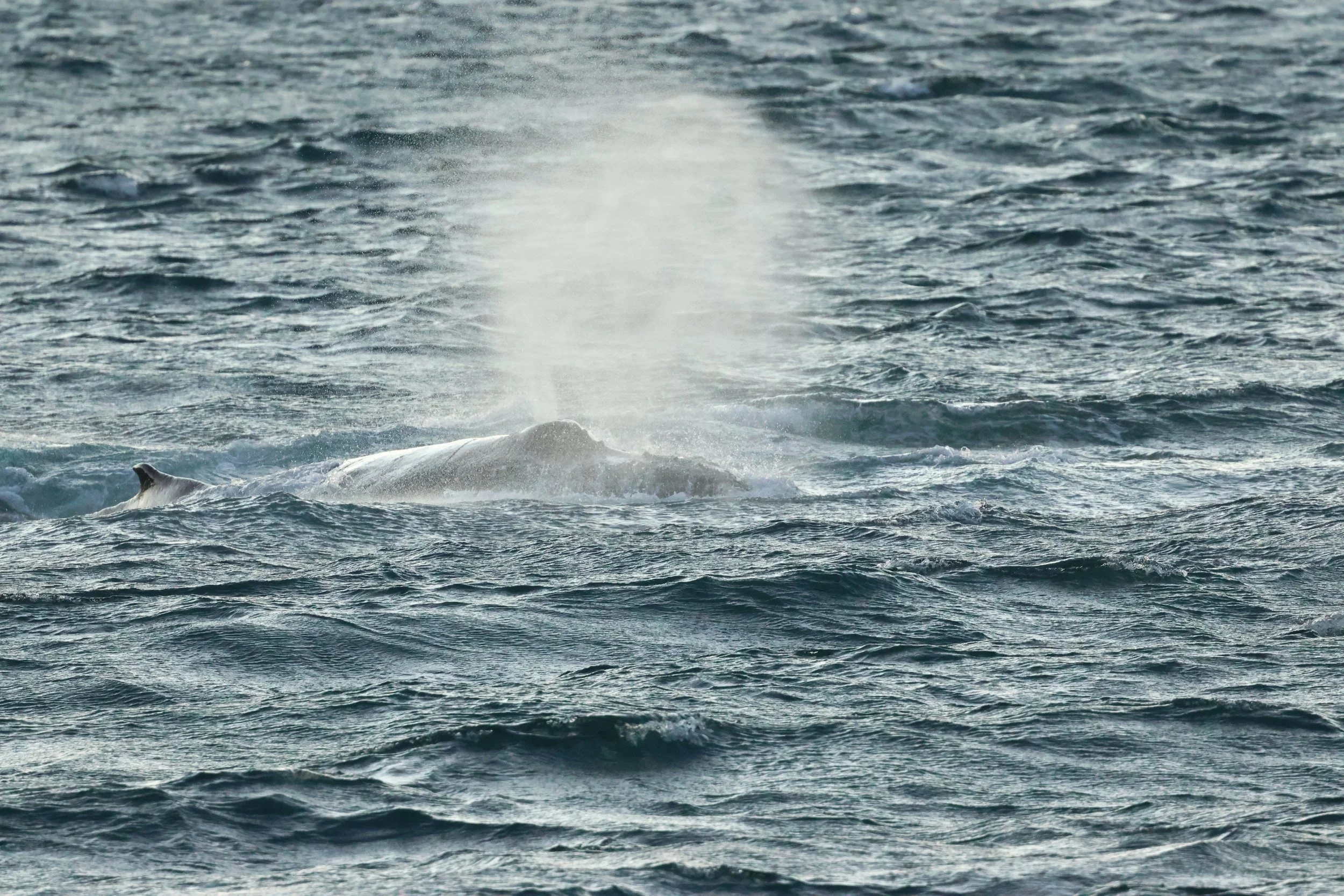 2025_12_30_1100_KON_GISELA (79).JPG