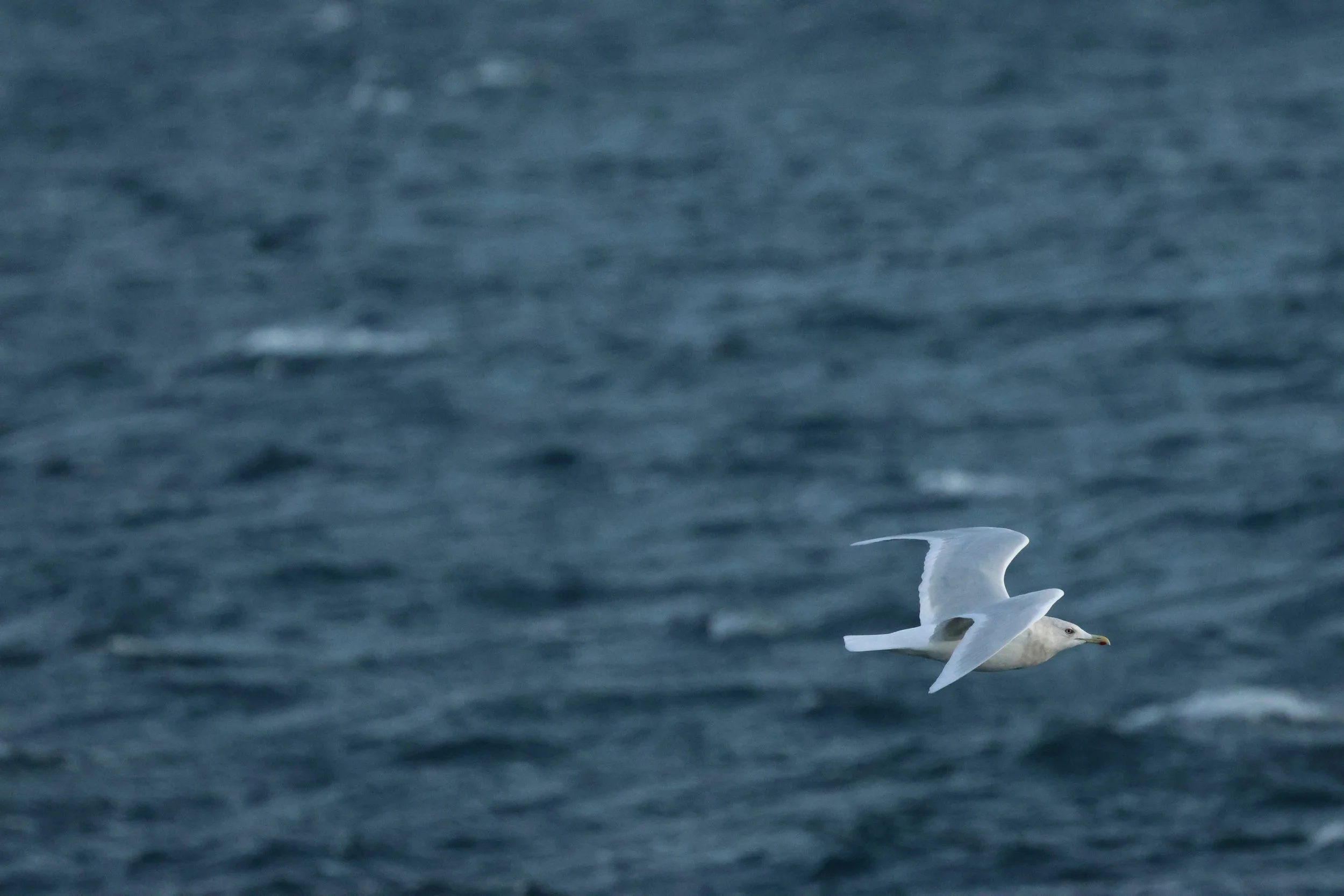 2025_12_30_1100_KON_GISELA (114).JPG