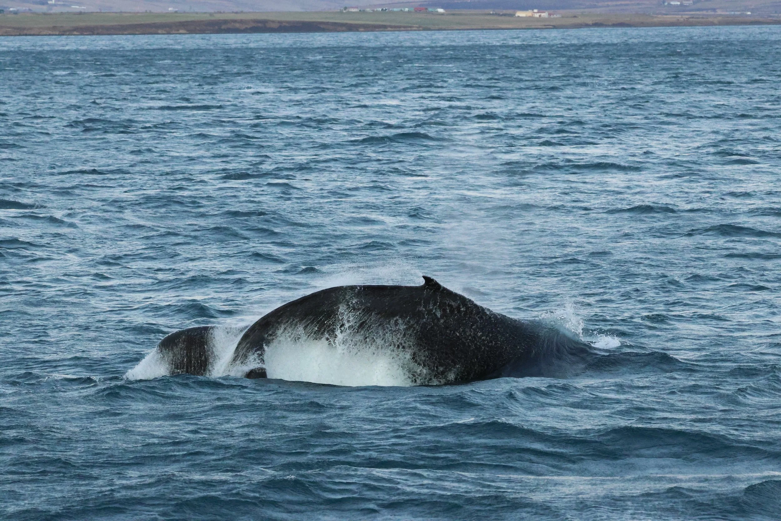 2025_12_30_1100_KON_GISELA (119).JPG