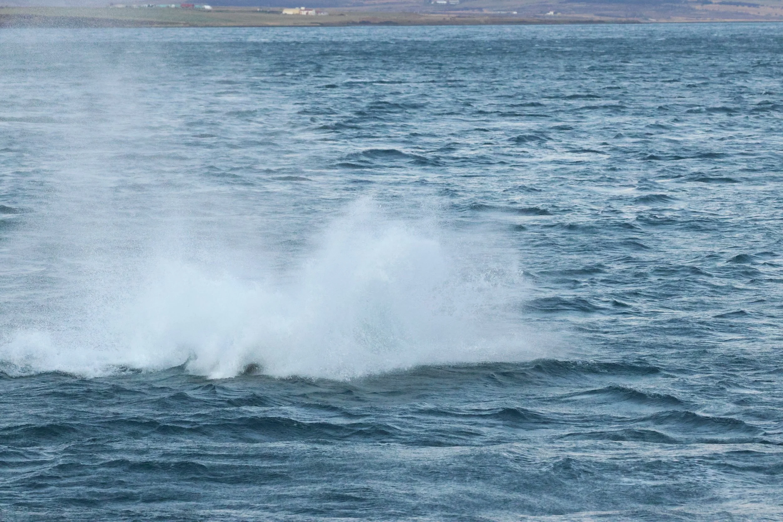 2025_12_30_1100_KON_GISELA (122).JPG