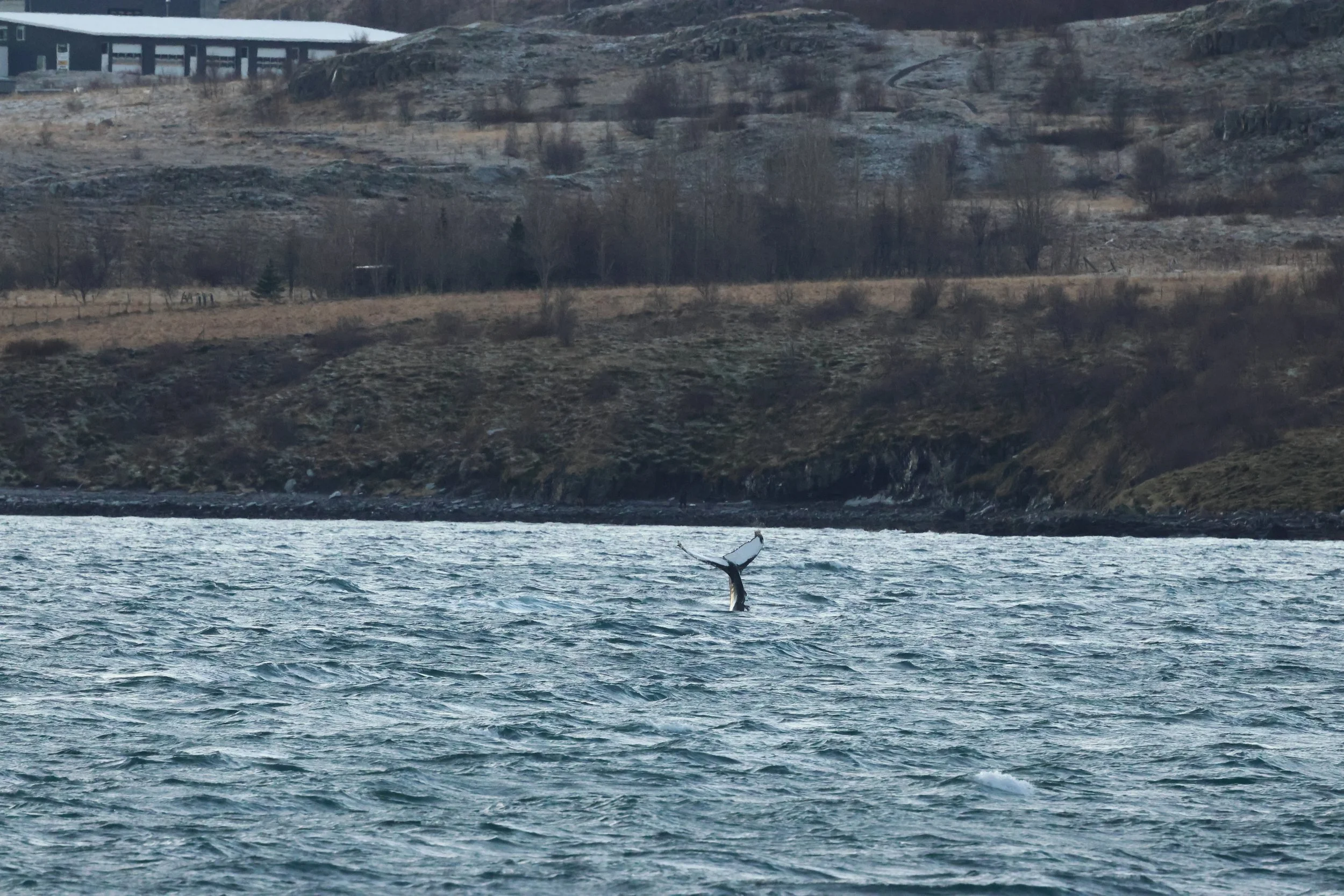 2025_12_30_1100_KON_GISELA (136).JPG