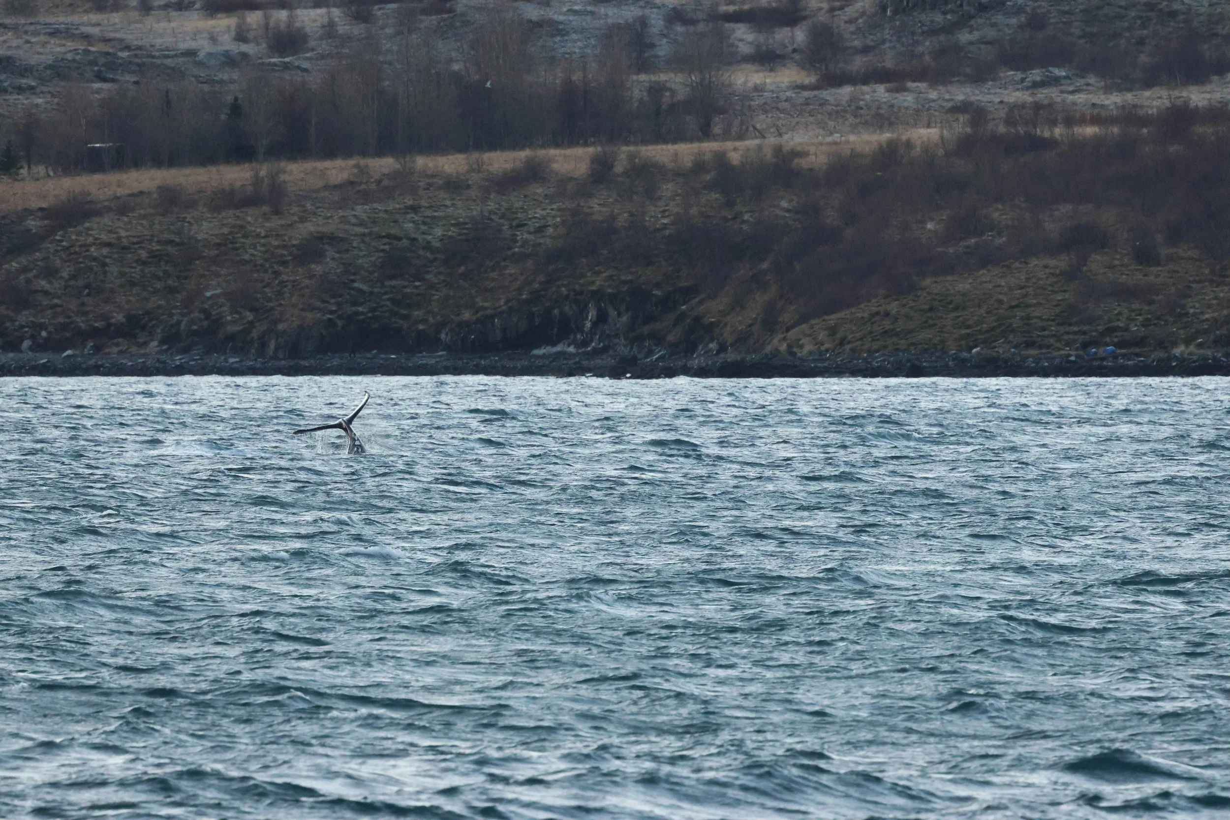 2025_12_30_1100_KON_GISELA (138).JPG