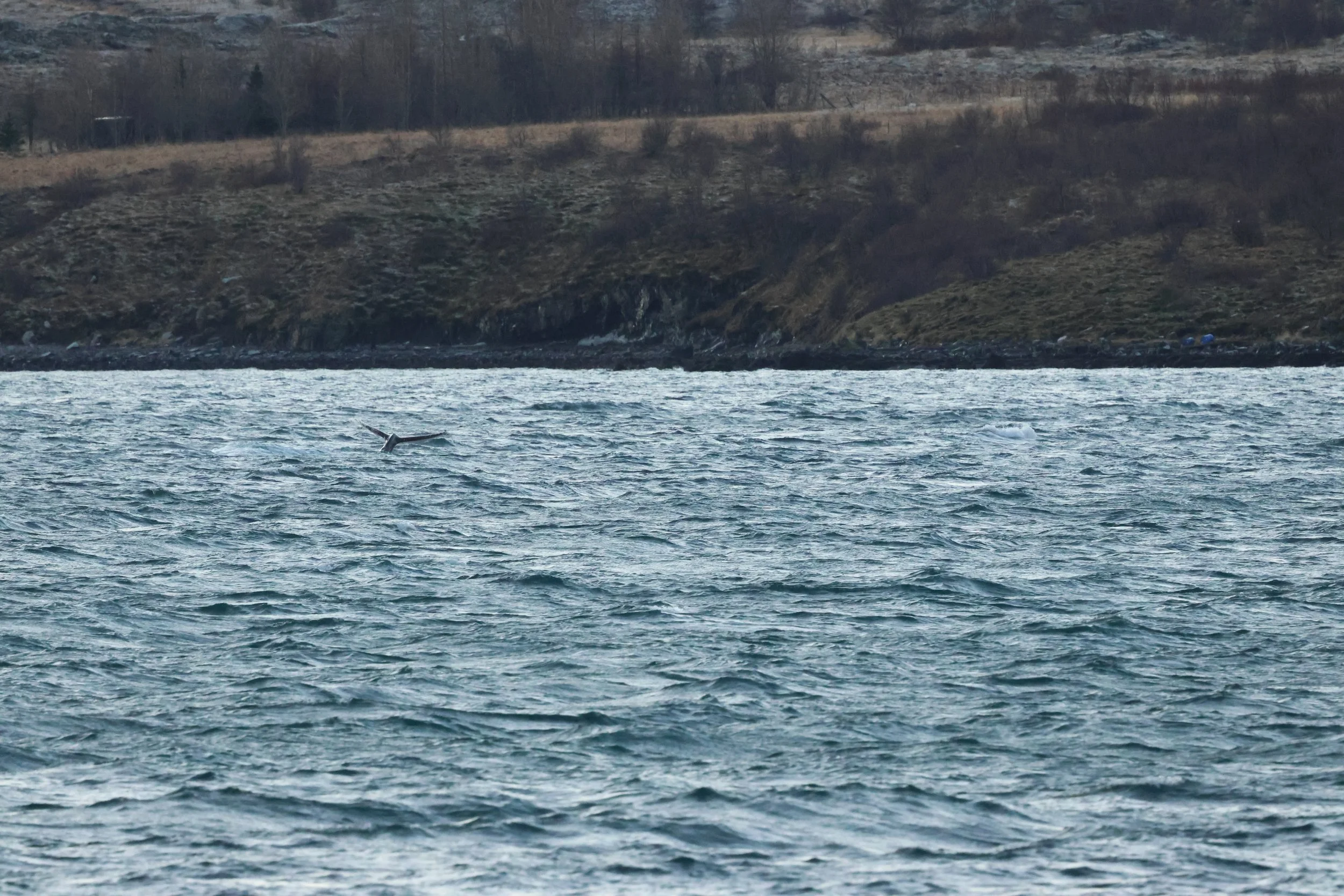 2025_12_30_1100_KON_GISELA (140).JPG