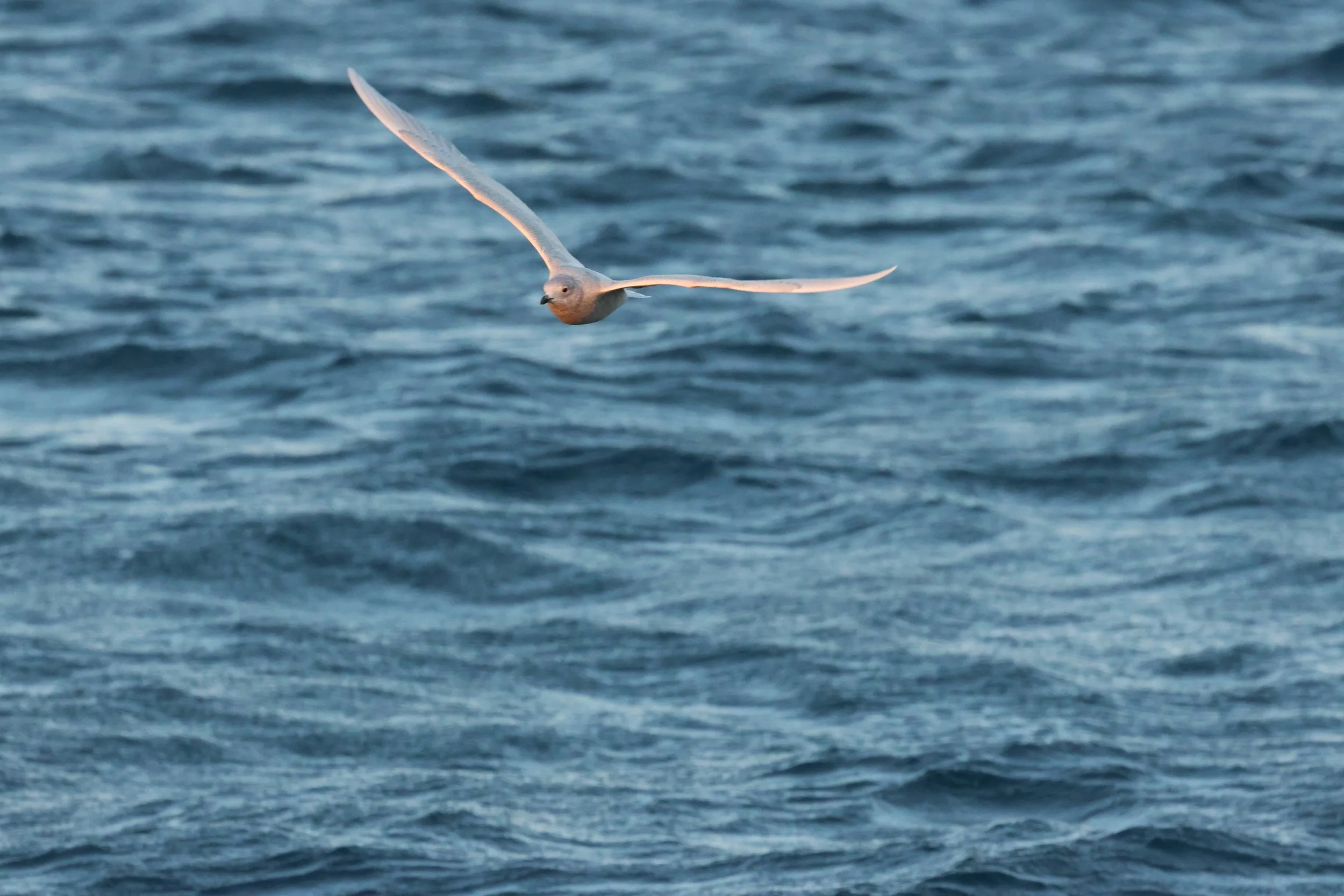 2025_12_30_1100_KON_GISELA (144).JPG