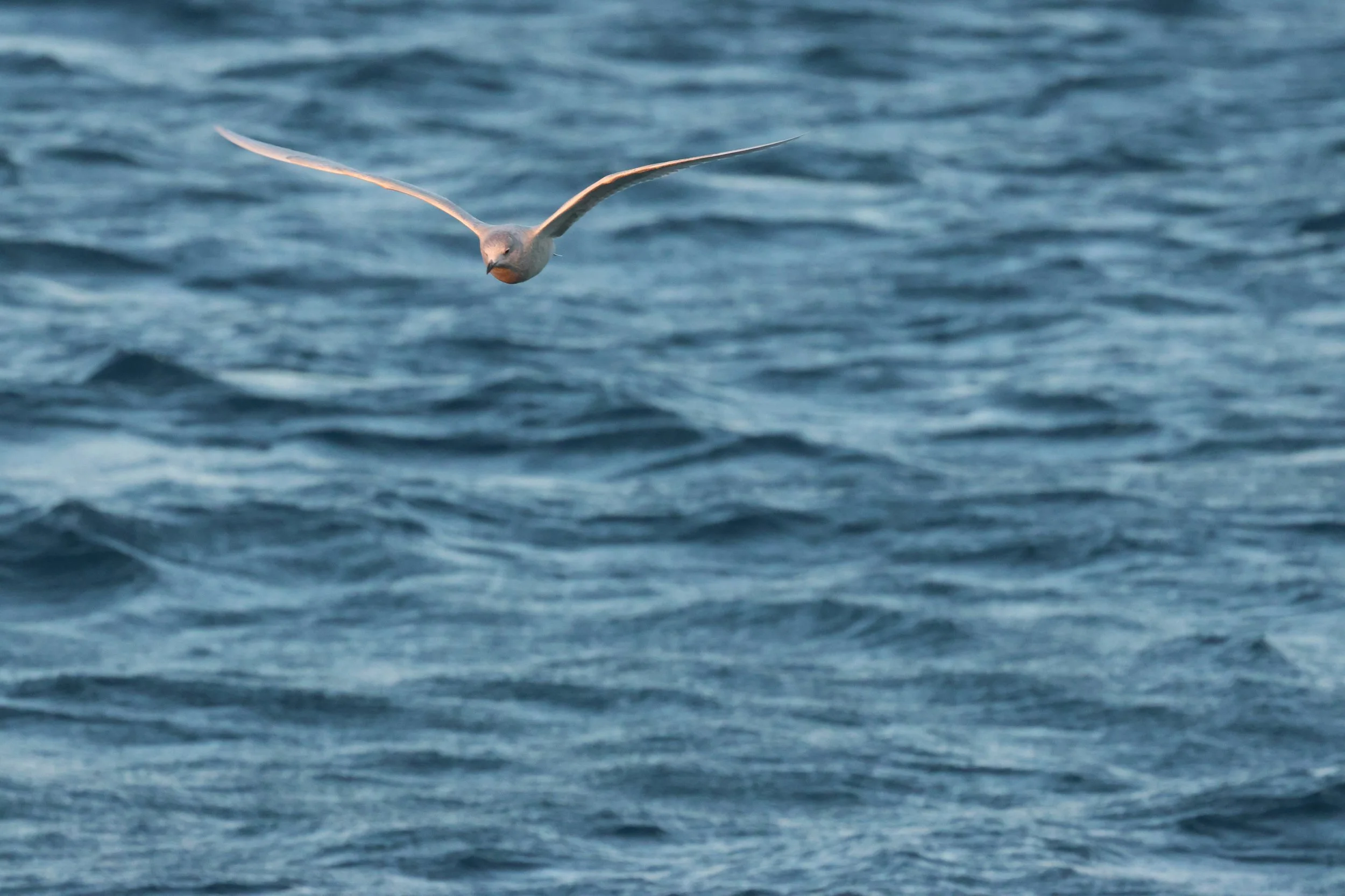 2025_12_30_1100_KON_GISELA (145).JPG