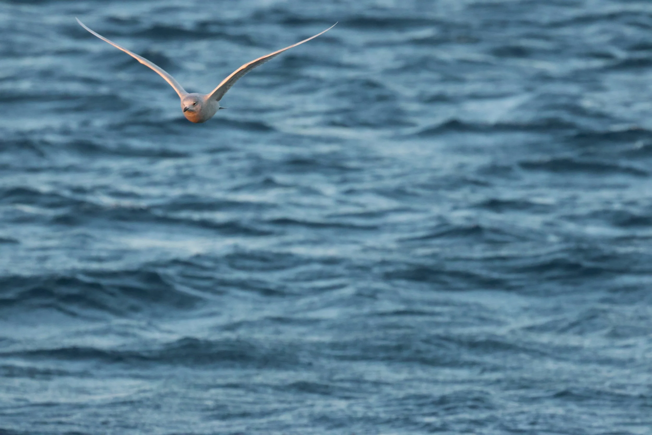 2025_12_30_1100_KON_GISELA (146).JPG