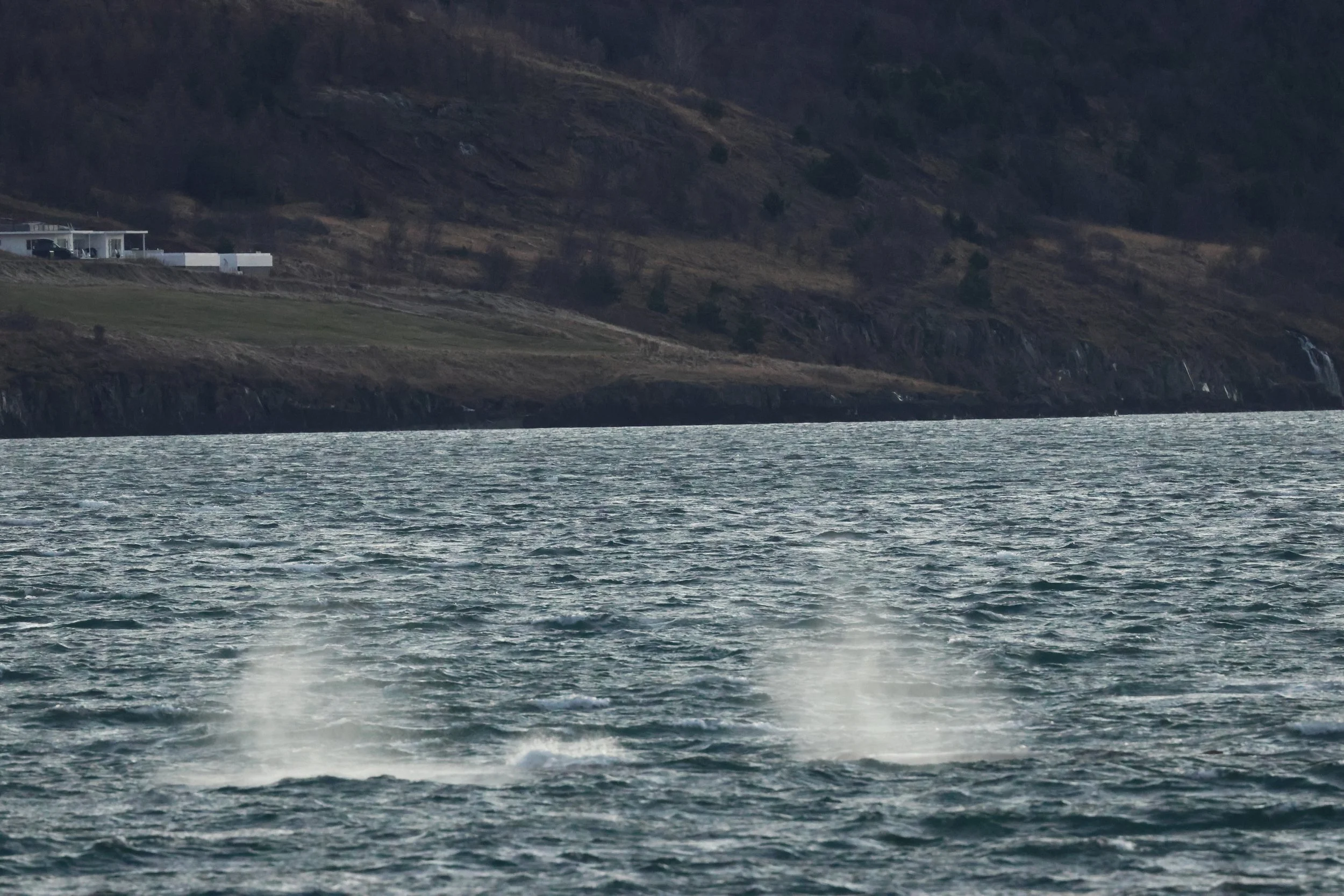 2025_12_30_1100_KON_GISELA (23).JPG