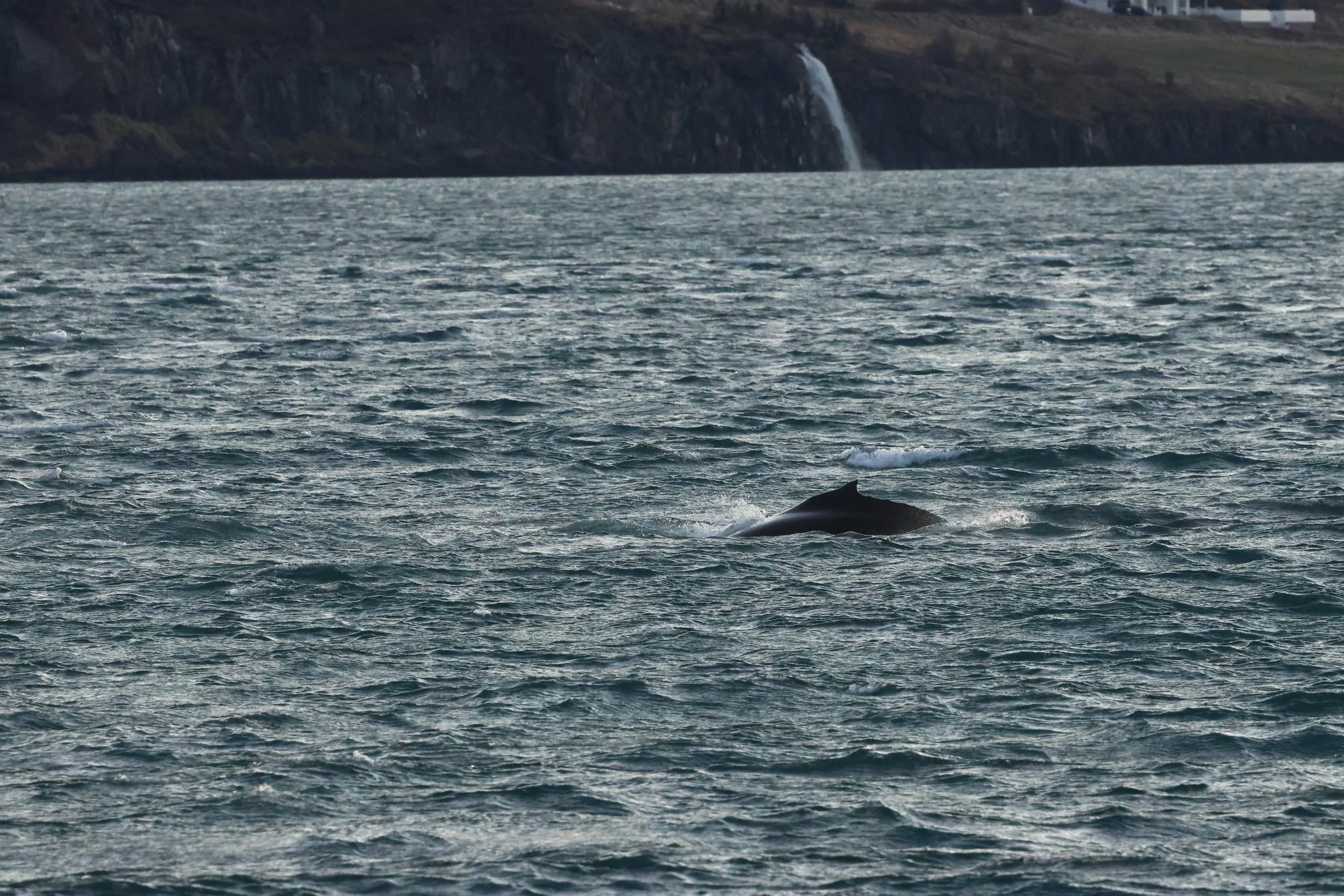 2025_12_30_1100_KON_GISELA (24).JPG