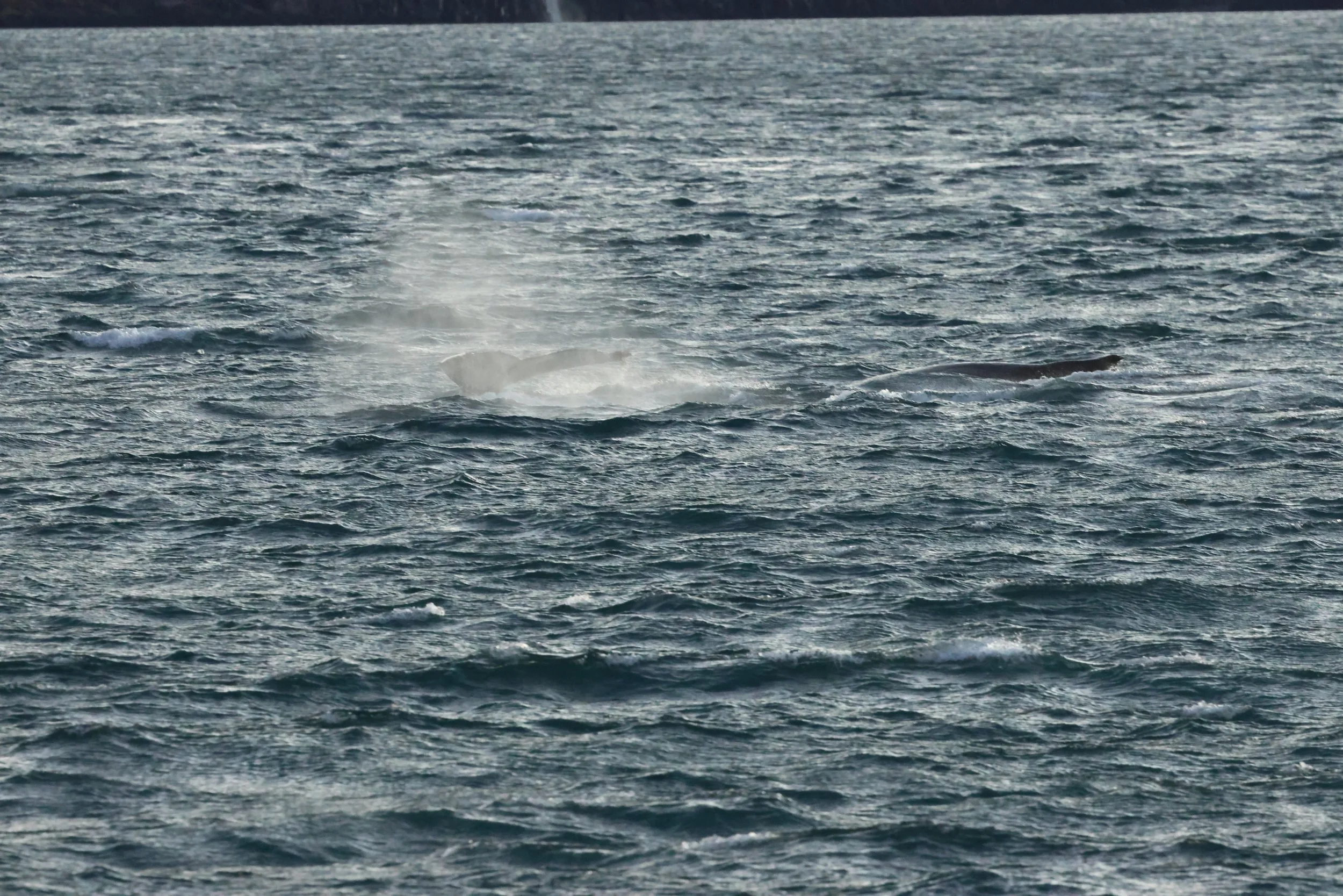 2025_12_30_1100_KON_GISELA (25).JPG