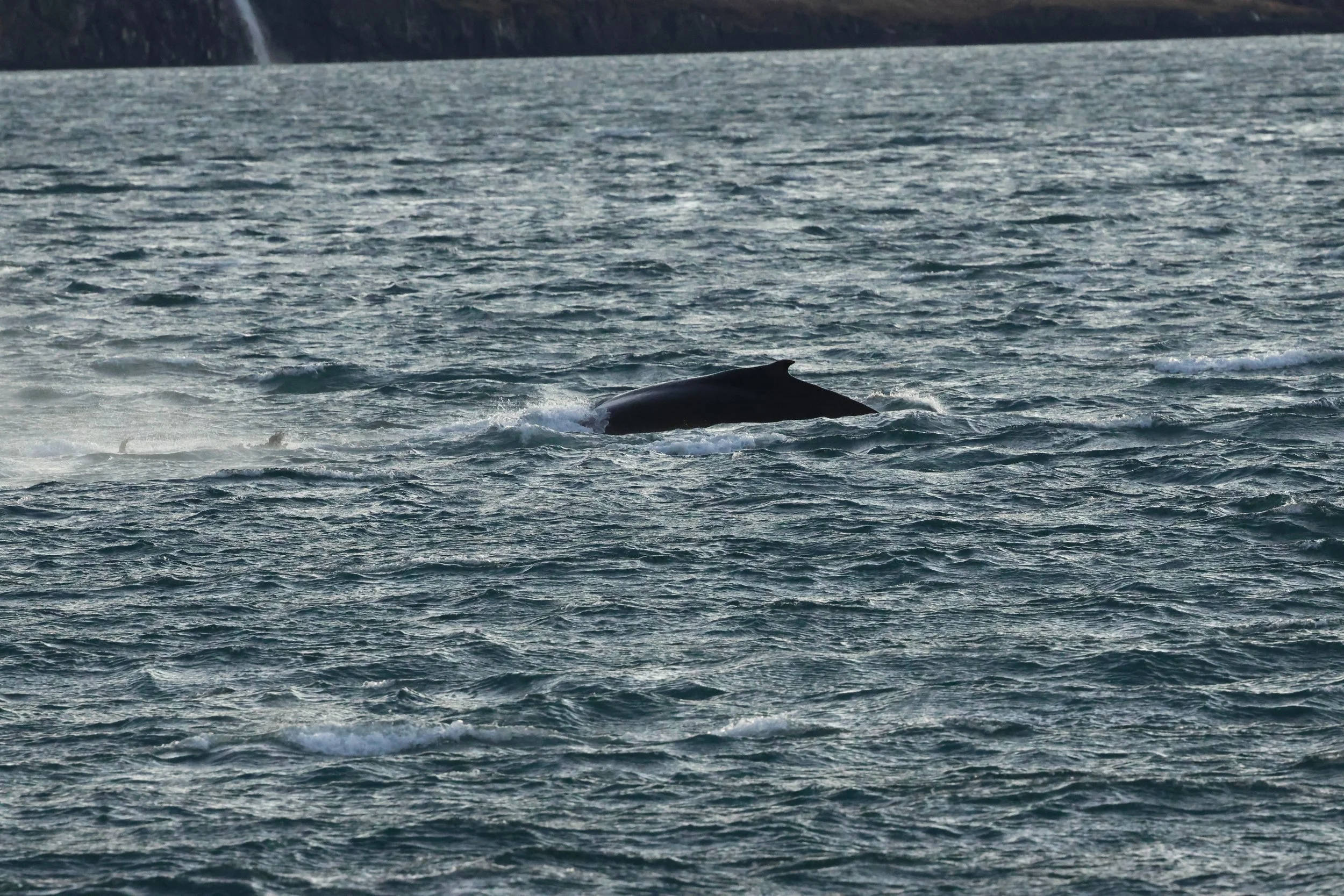 2025_12_30_1100_KON_GISELA (26).JPG