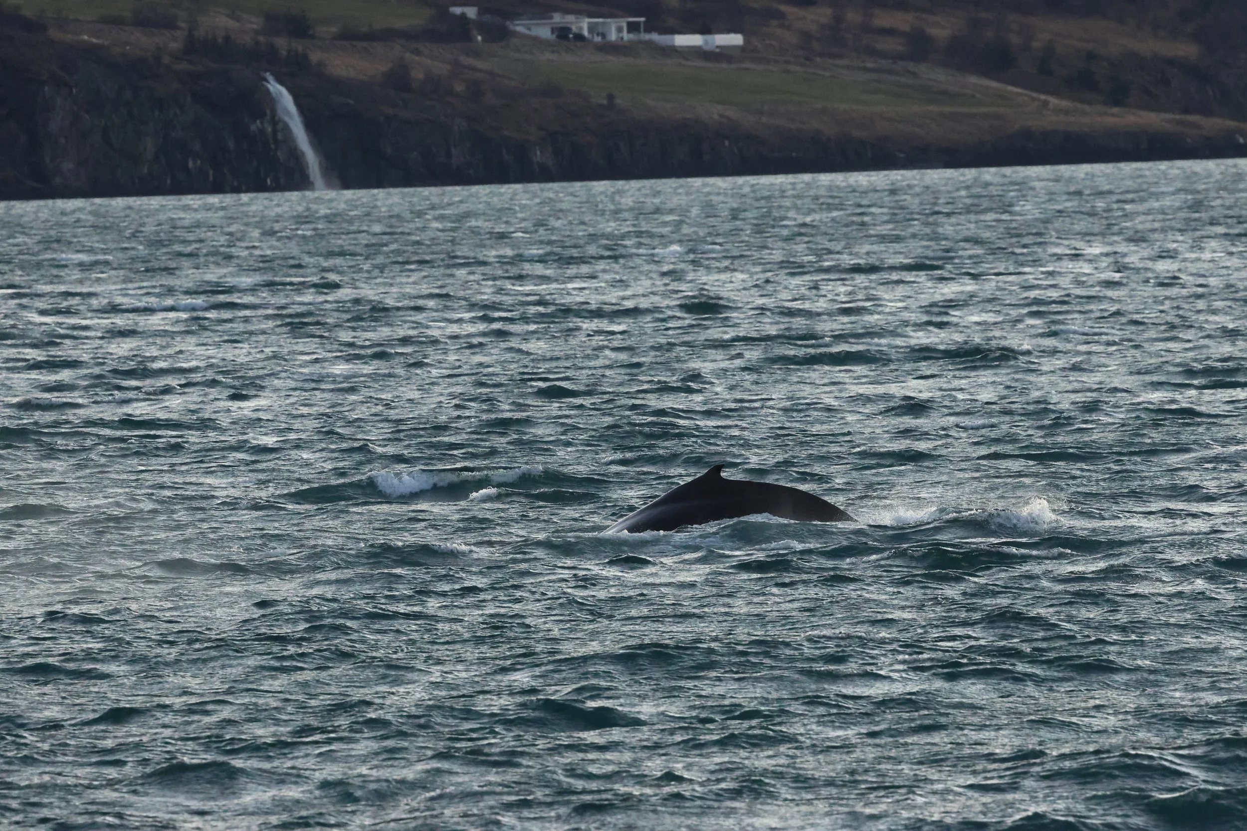 2025_12_30_1100_KON_GISELA (27).JPG