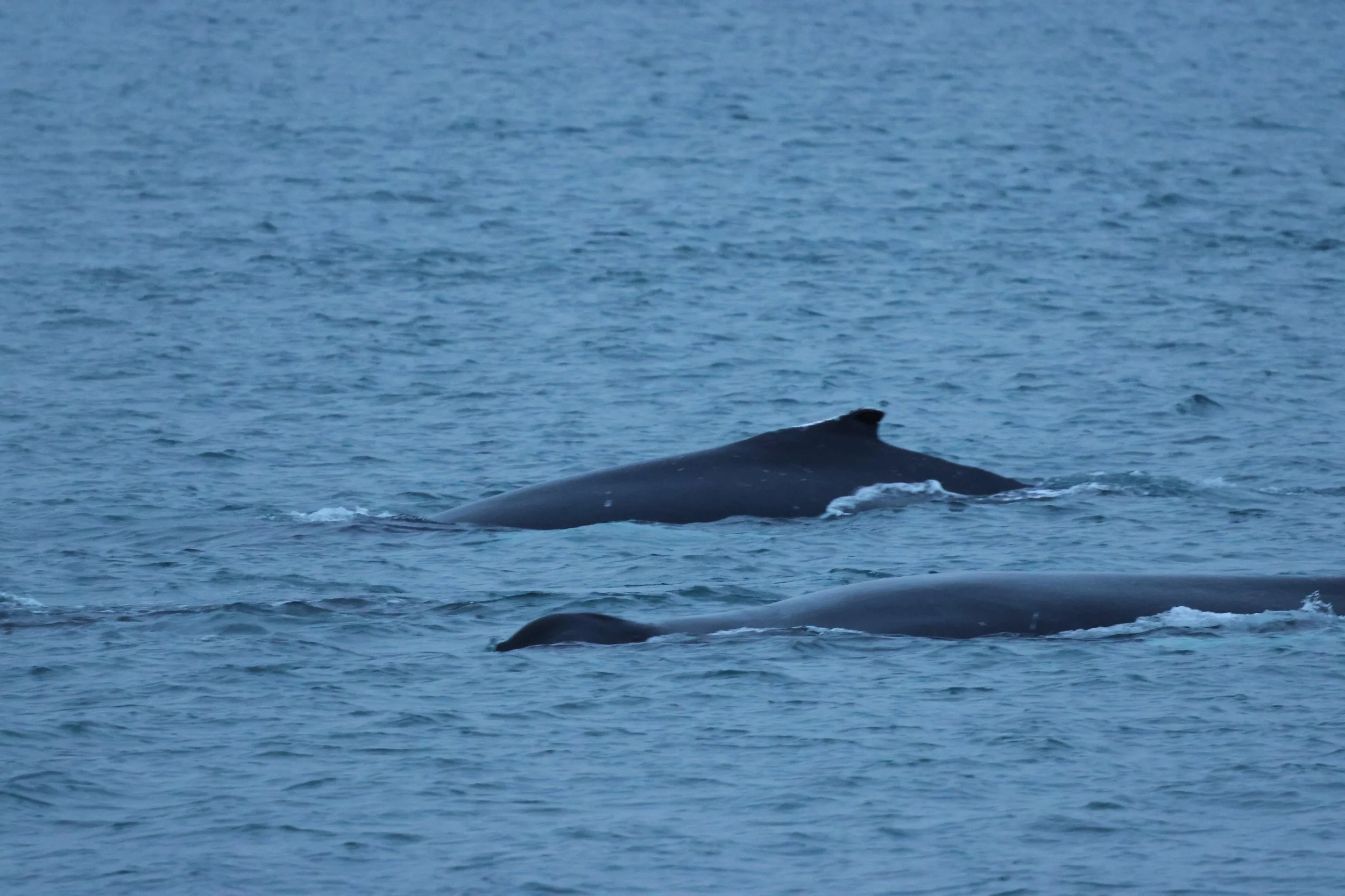 Thursday, 1 January 2026