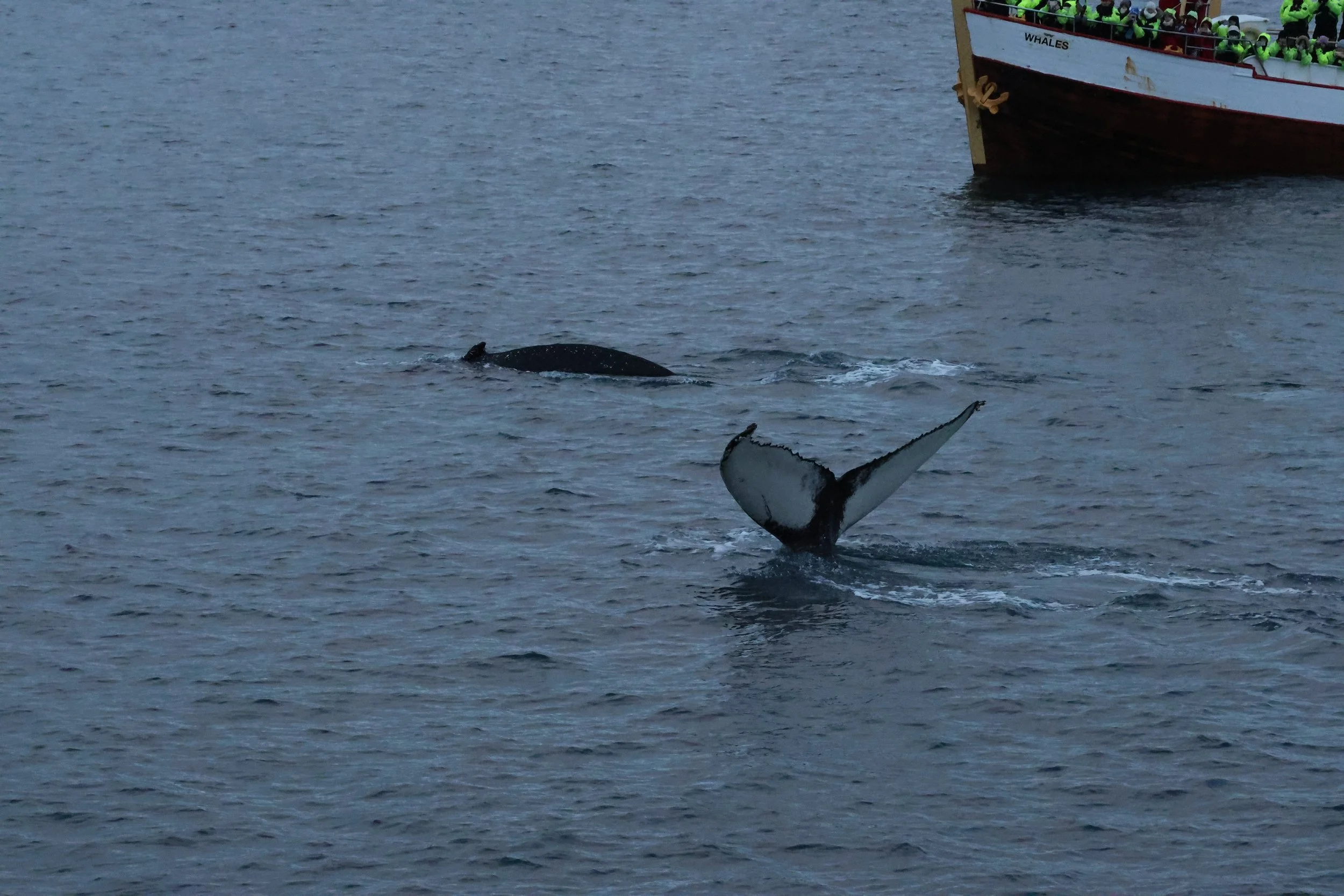 Friday, 2 January 2026