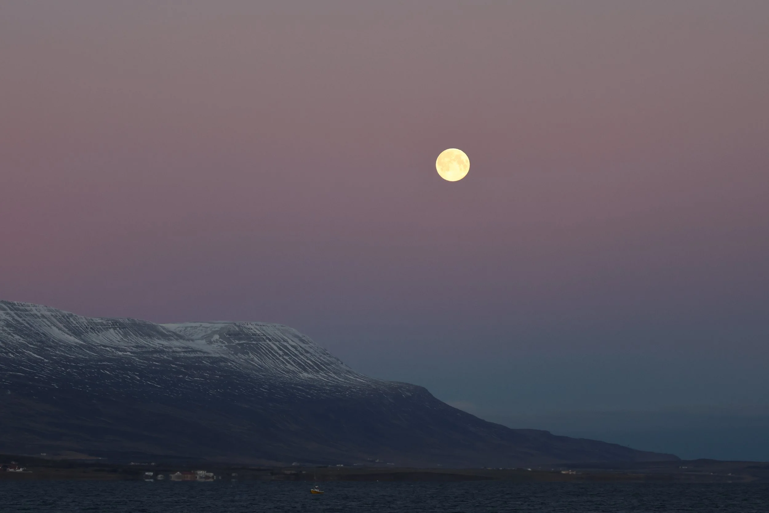 2026_01_03_1100_KON_GISELA (1).JPG