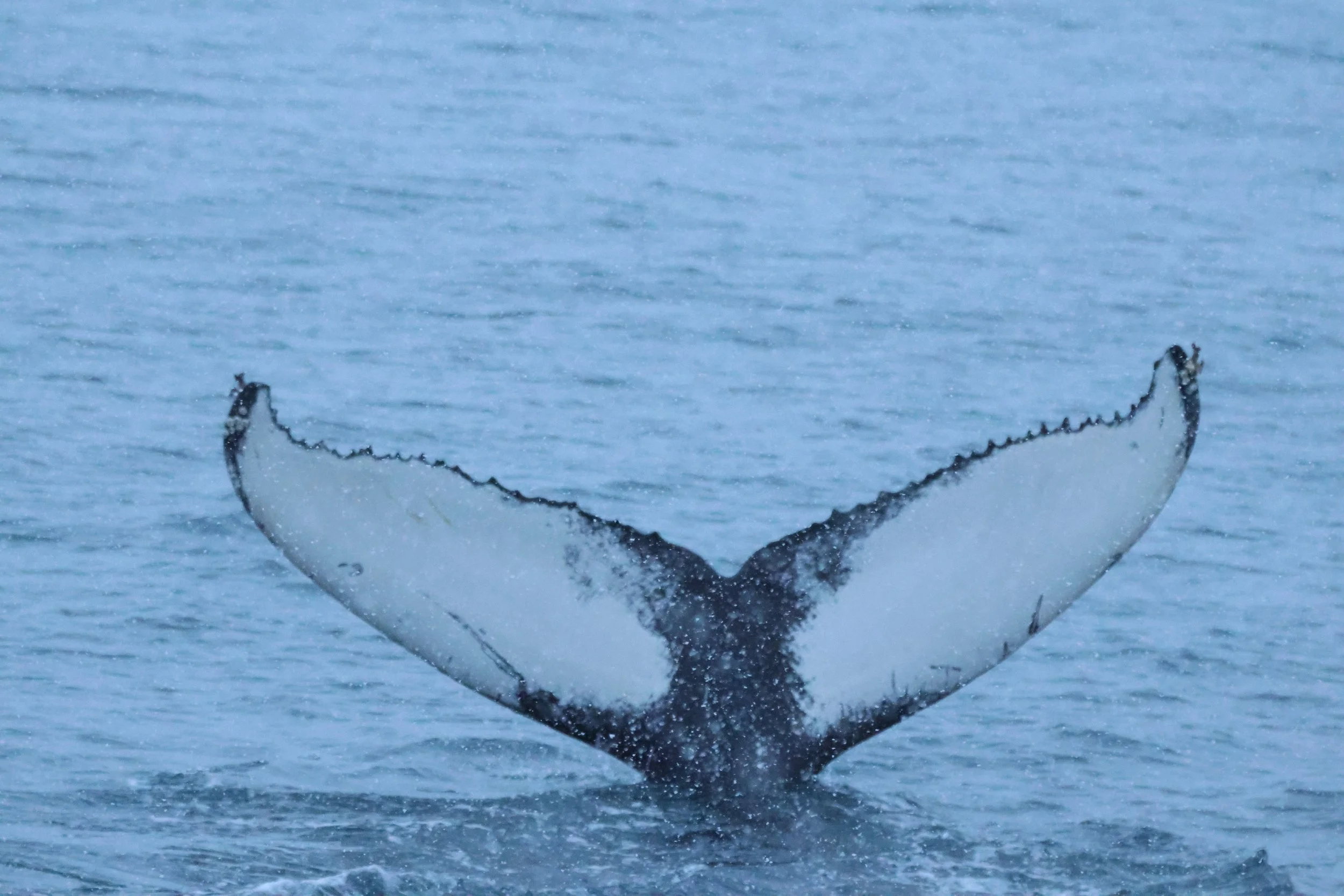 Monday, 5 January 2026