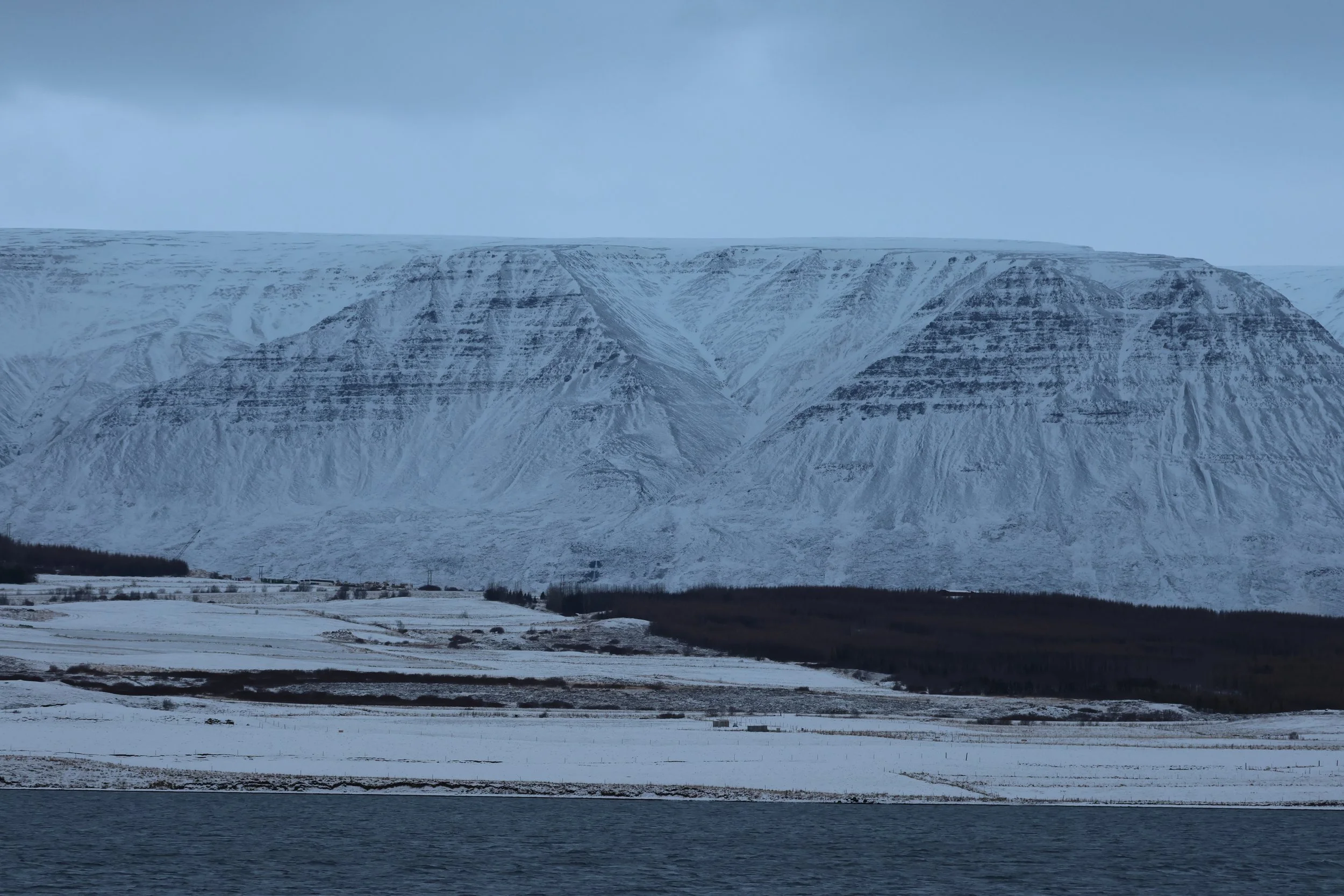 2026_01_08_1100_KON_GISELA (116).JPG