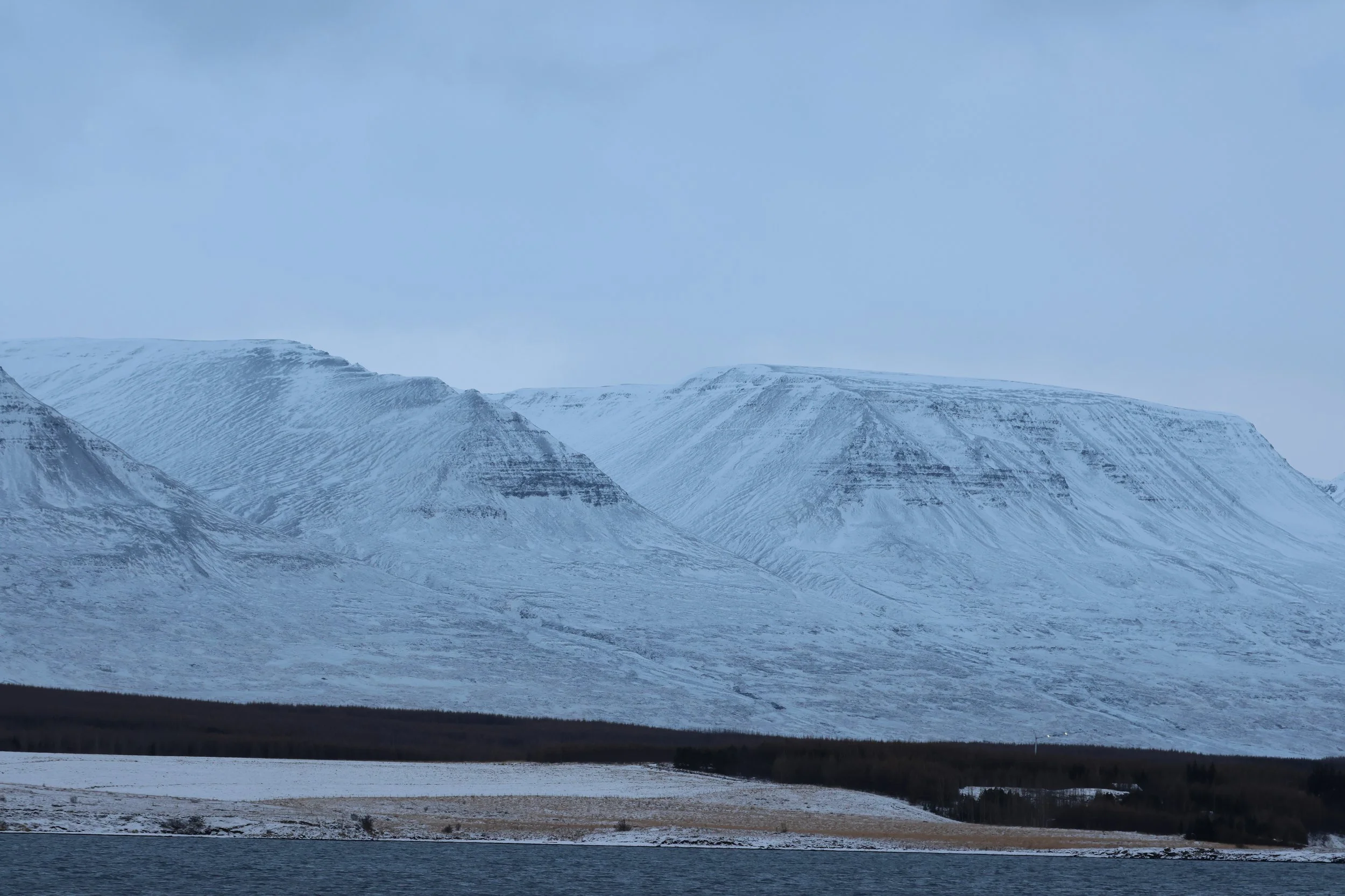 2026_01_08_1100_KON_GISELA (117).JPG