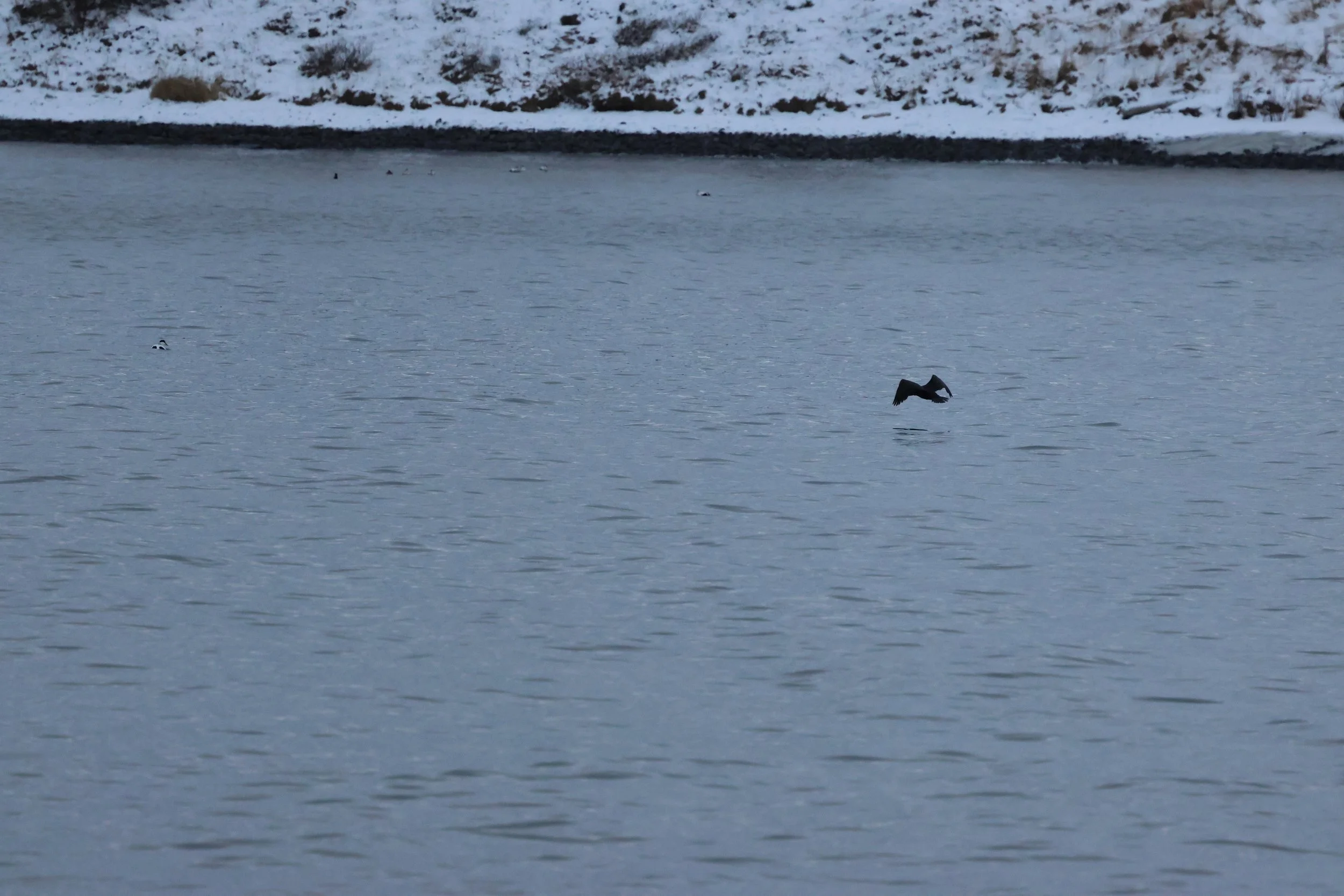 2026_01_08_1100_KON_GISELA (118).JPG