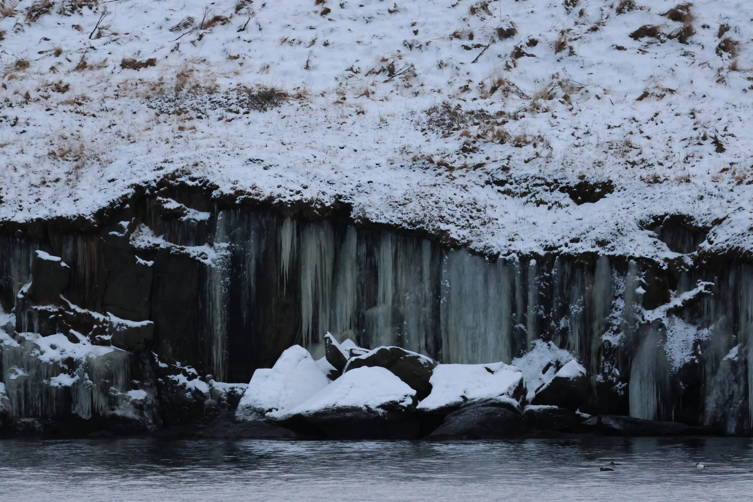 2026_01_08_1100_KON_GISELA (124).JPG