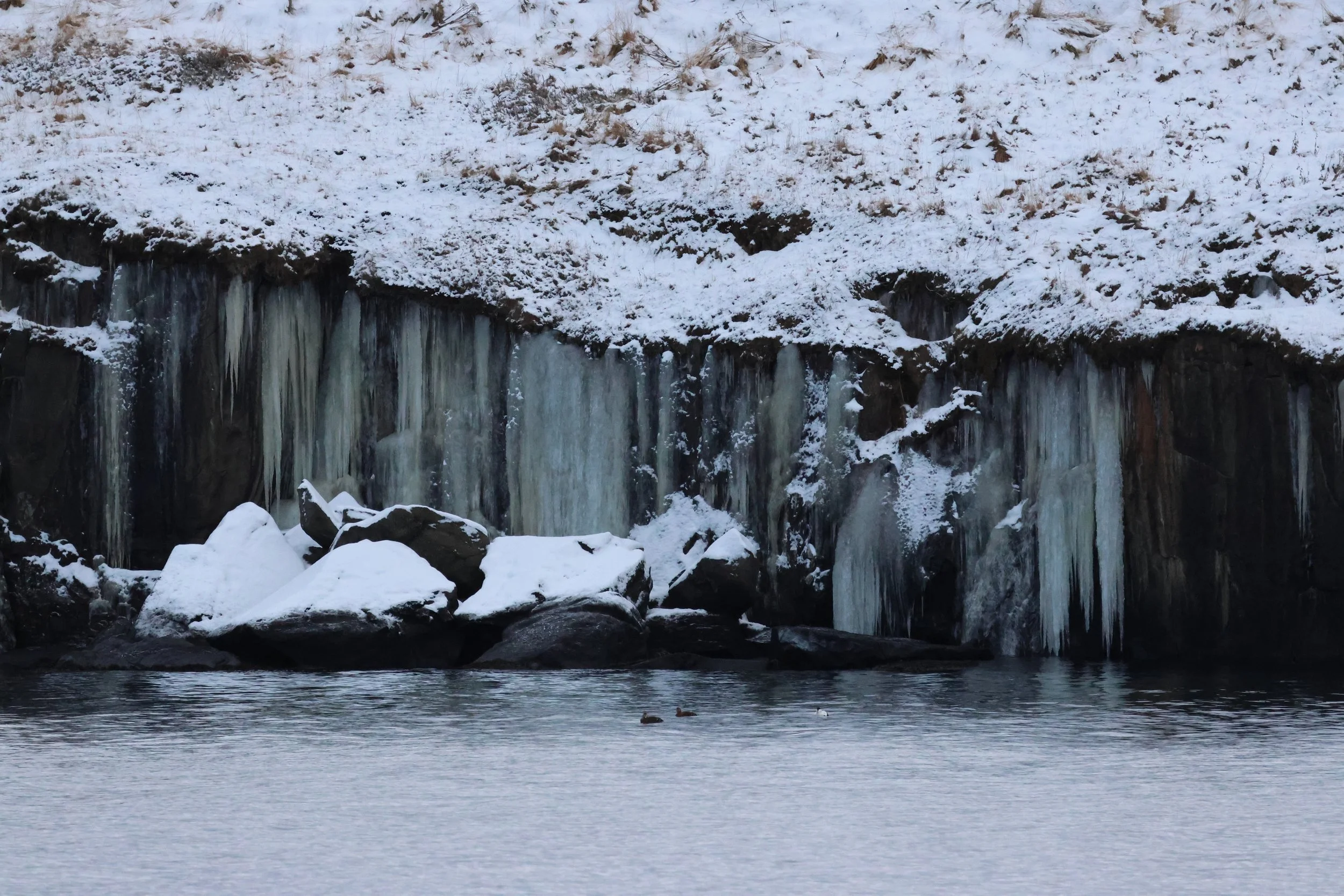 2026_01_08_1100_KON_GISELA (125).JPG